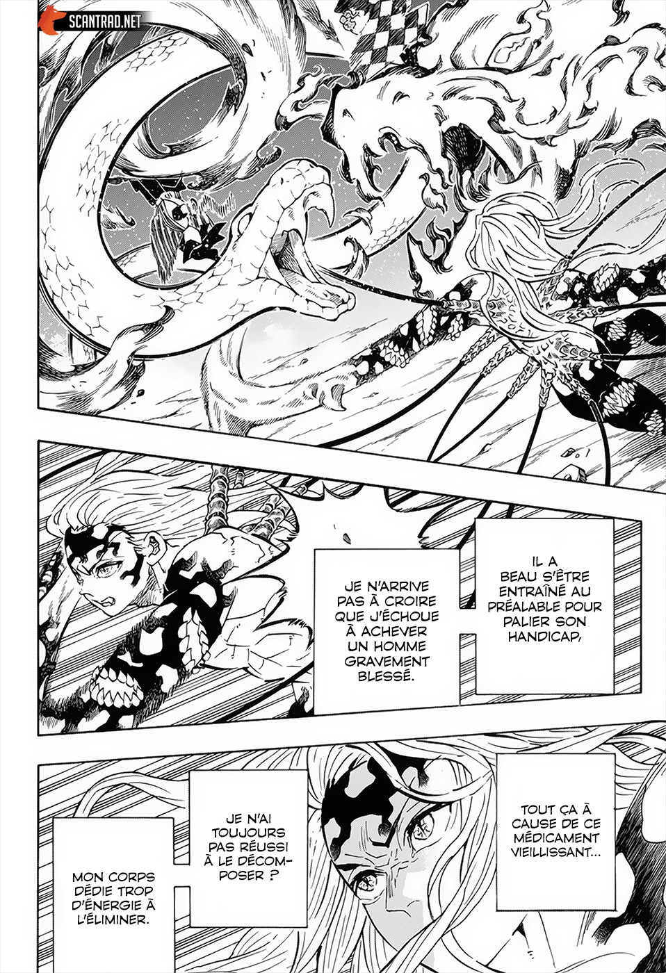 Read Demon Slayer Kimetsu no Yaiba FR Manga Online
