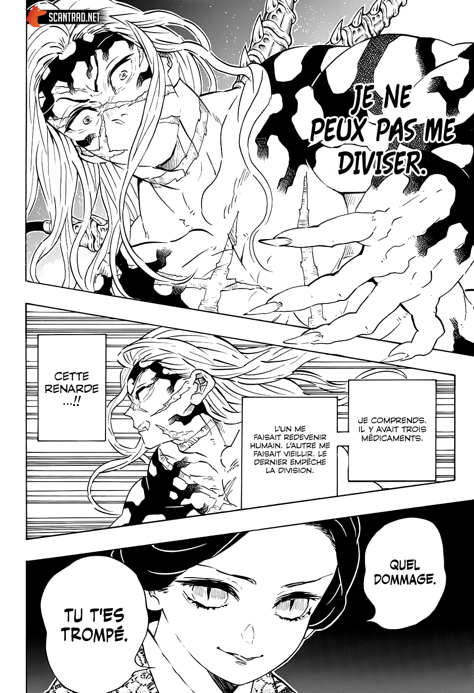 Read Demon Slayer Kimetsu no Yaiba FR Manga Online