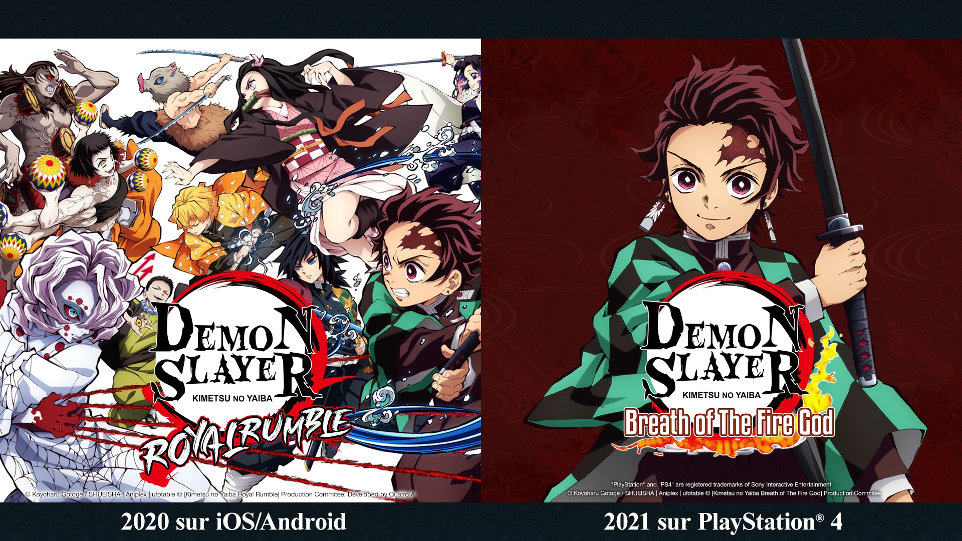 Read Demon Slayer Kimetsu no Yaiba FR Manga Online