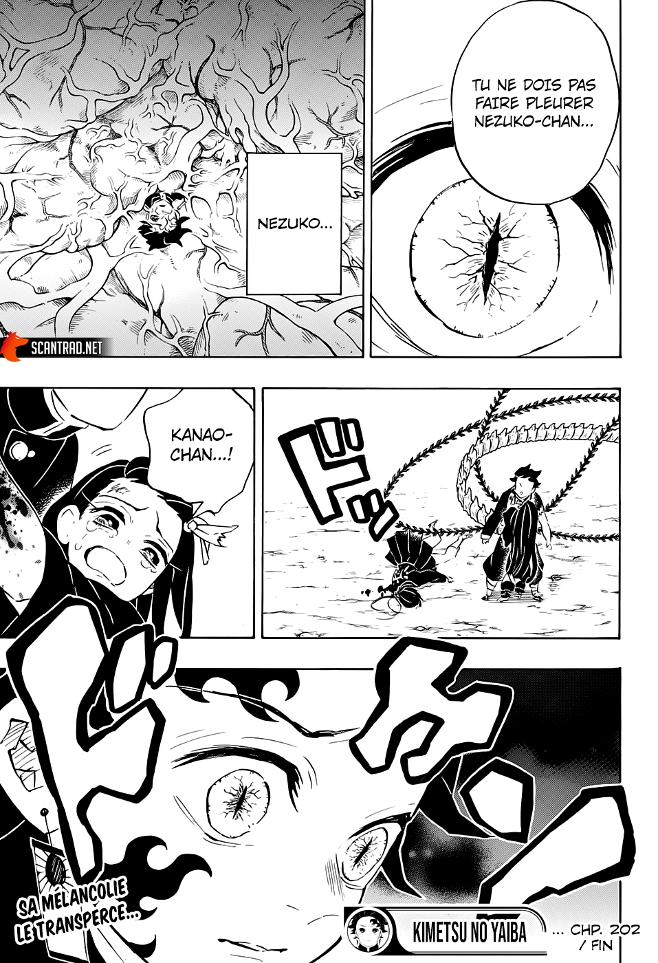 Read Demon Slayer Kimetsu no Yaiba FR Manga Online