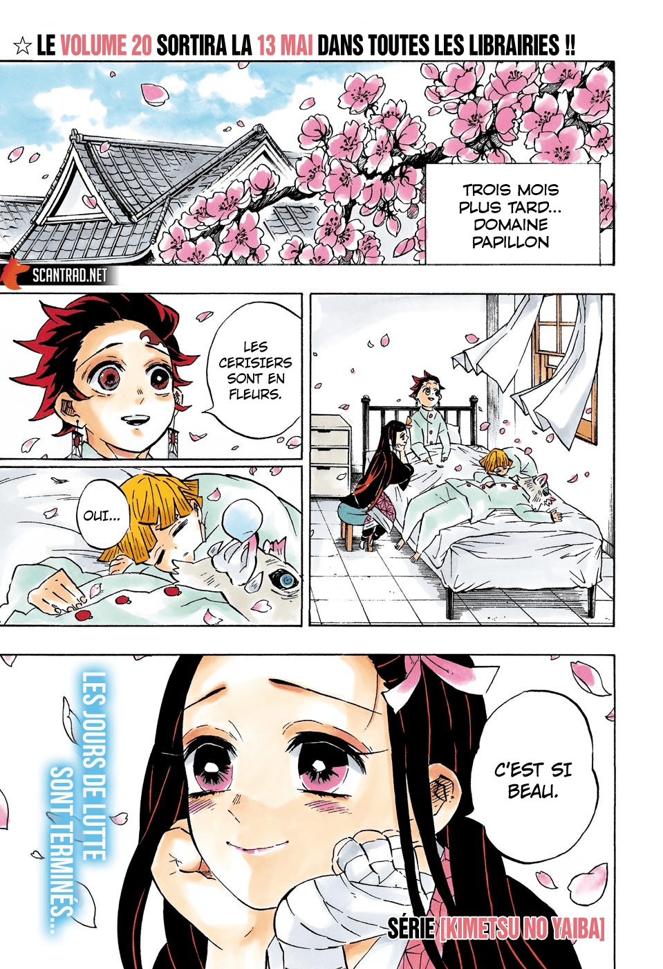 Read Demon Slayer Kimetsu no Yaiba FR Manga Online