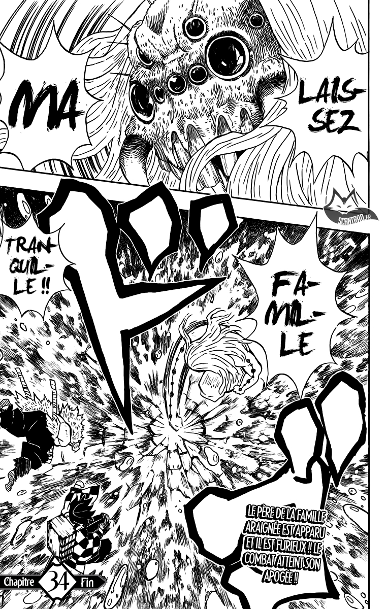 Read Demon Slayer Kimetsu no Yaiba FR Manga Online