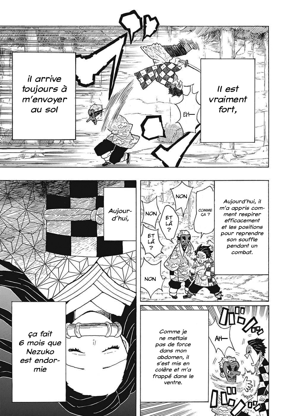 Read Demon Slayer Kimetsu no Yaiba FR Manga Online