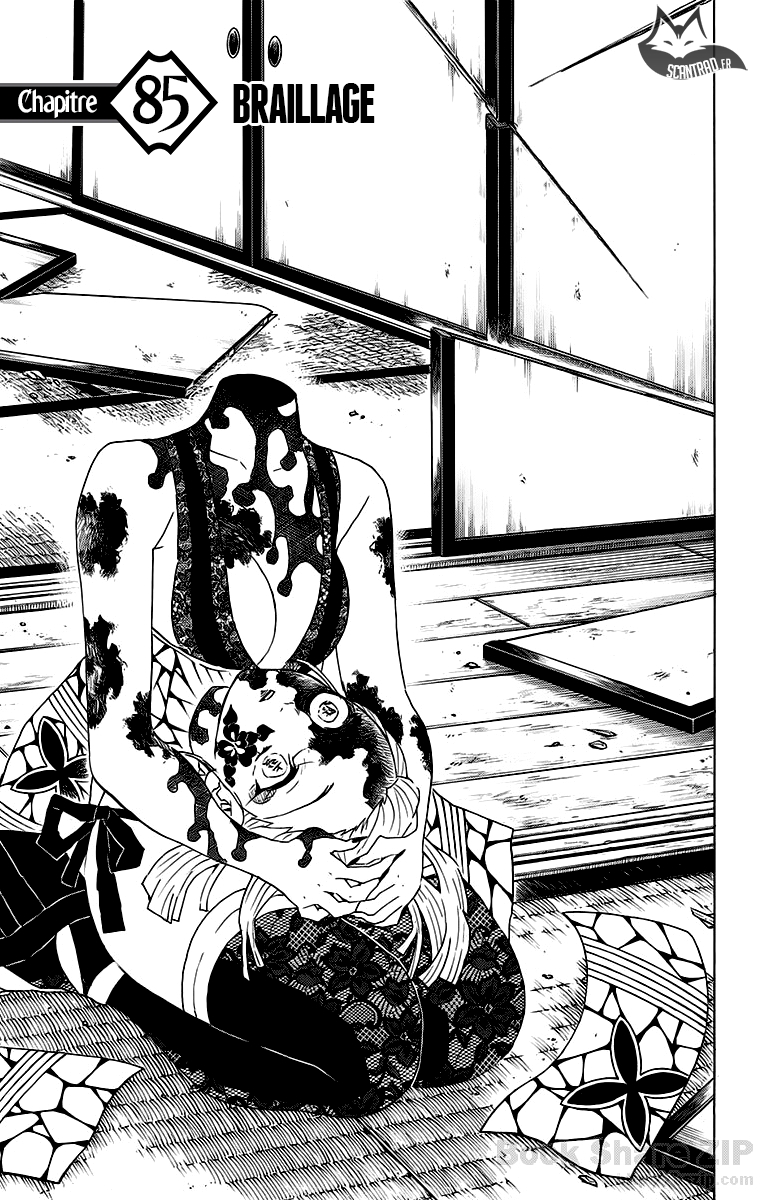 Read Demon Slayer Kimetsu no Yaiba FR Manga Online