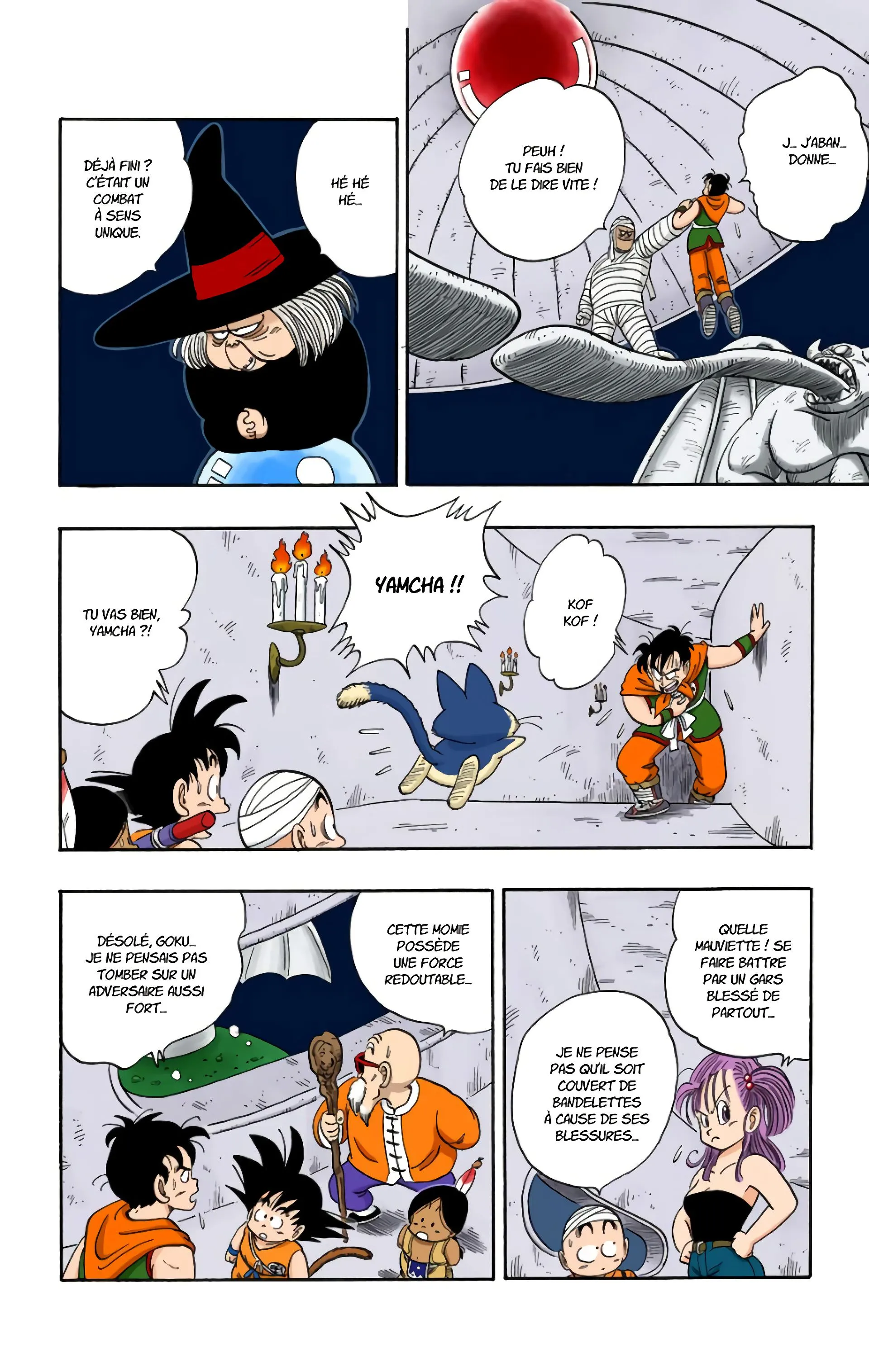 Read Dragon Ball FR Manga Online