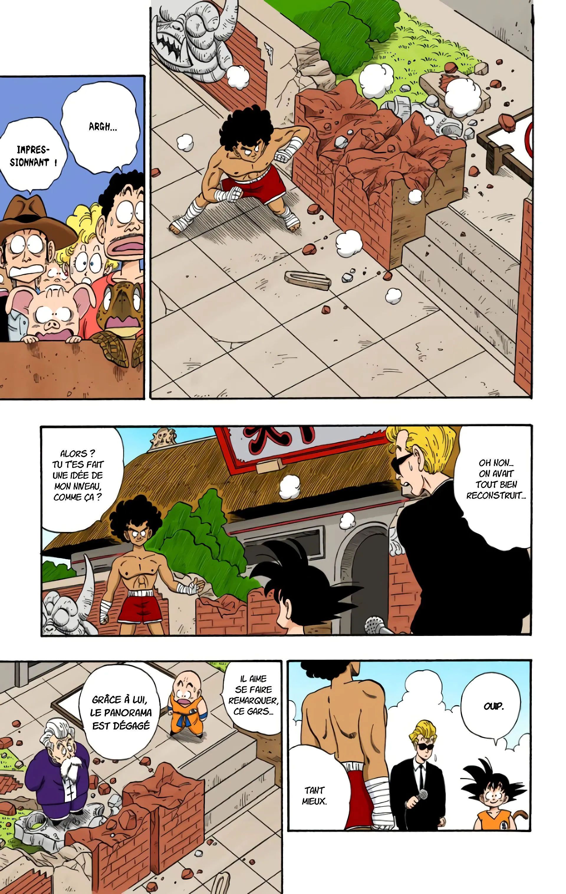 Read Dragon Ball FR Manga Online