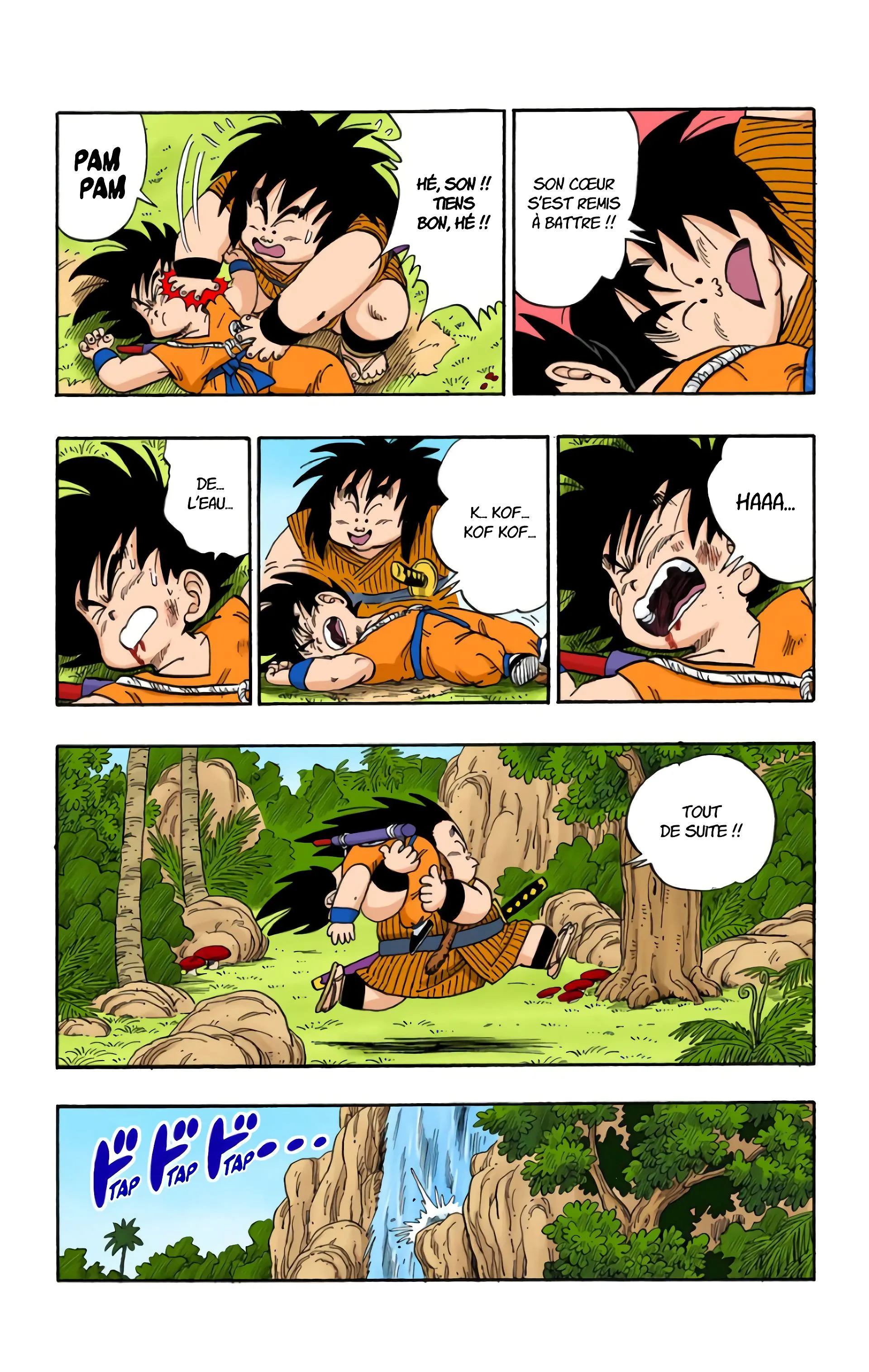 Read Dragon Ball FR Manga Online