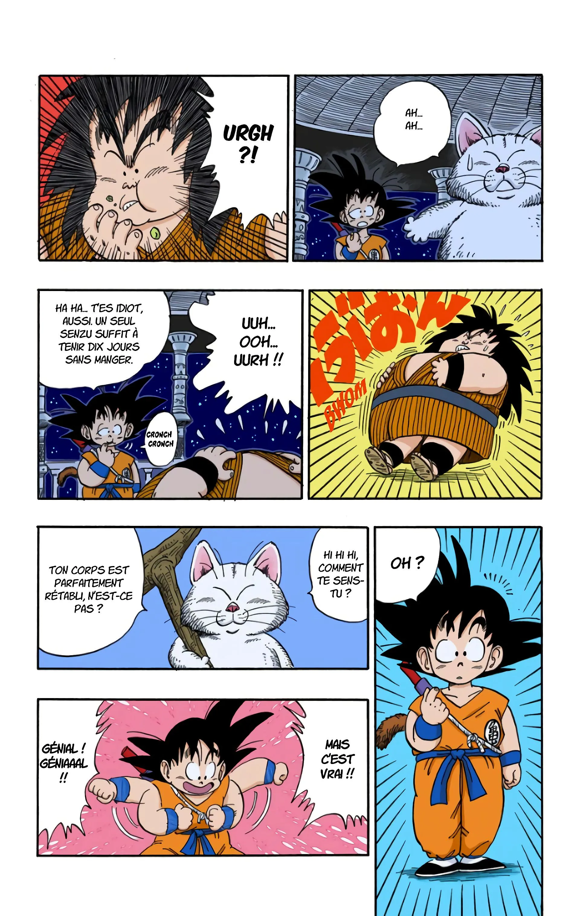 Read Dragon Ball FR Manga Online