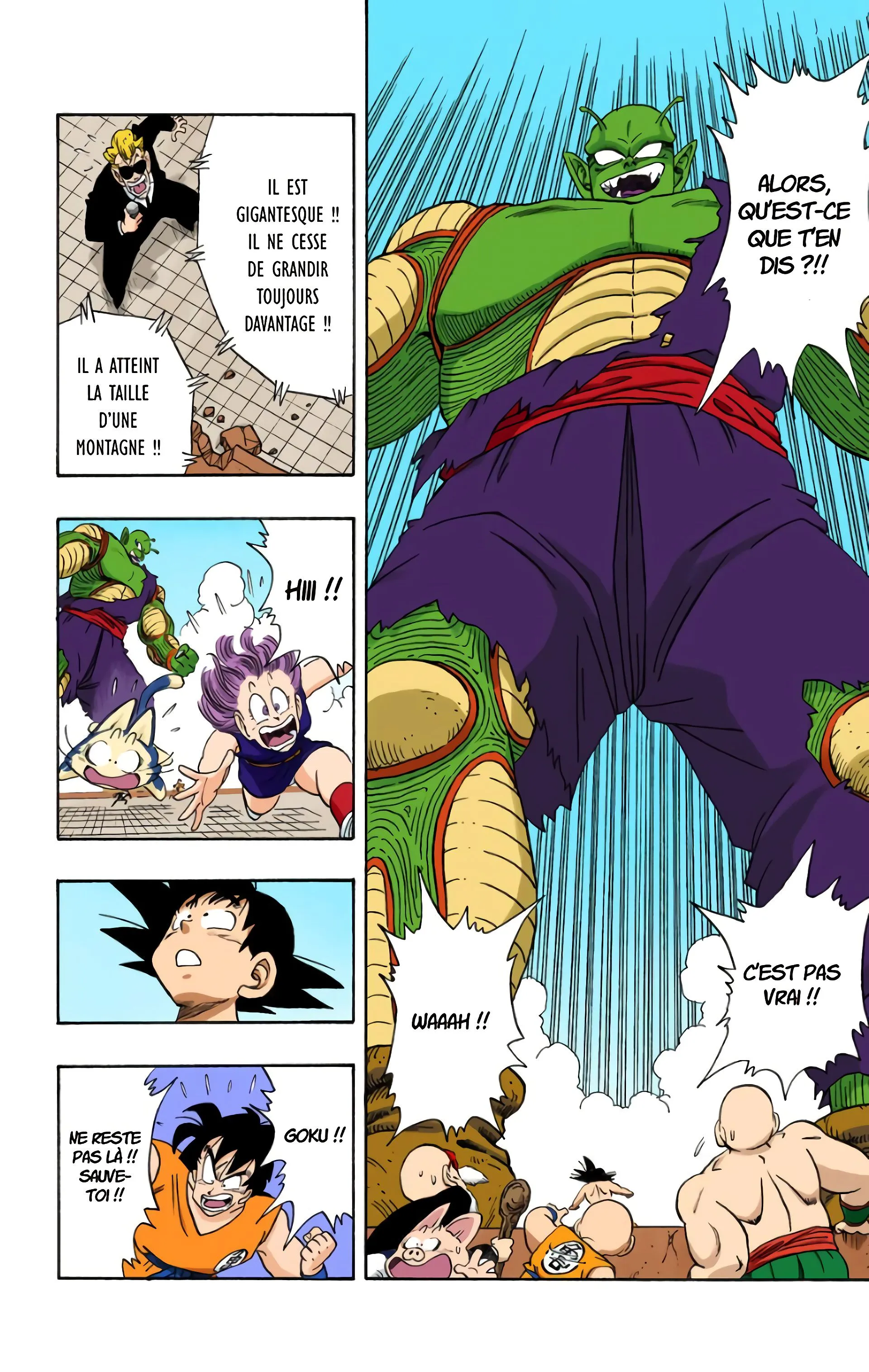 Read Dragon Ball FR Manga Online