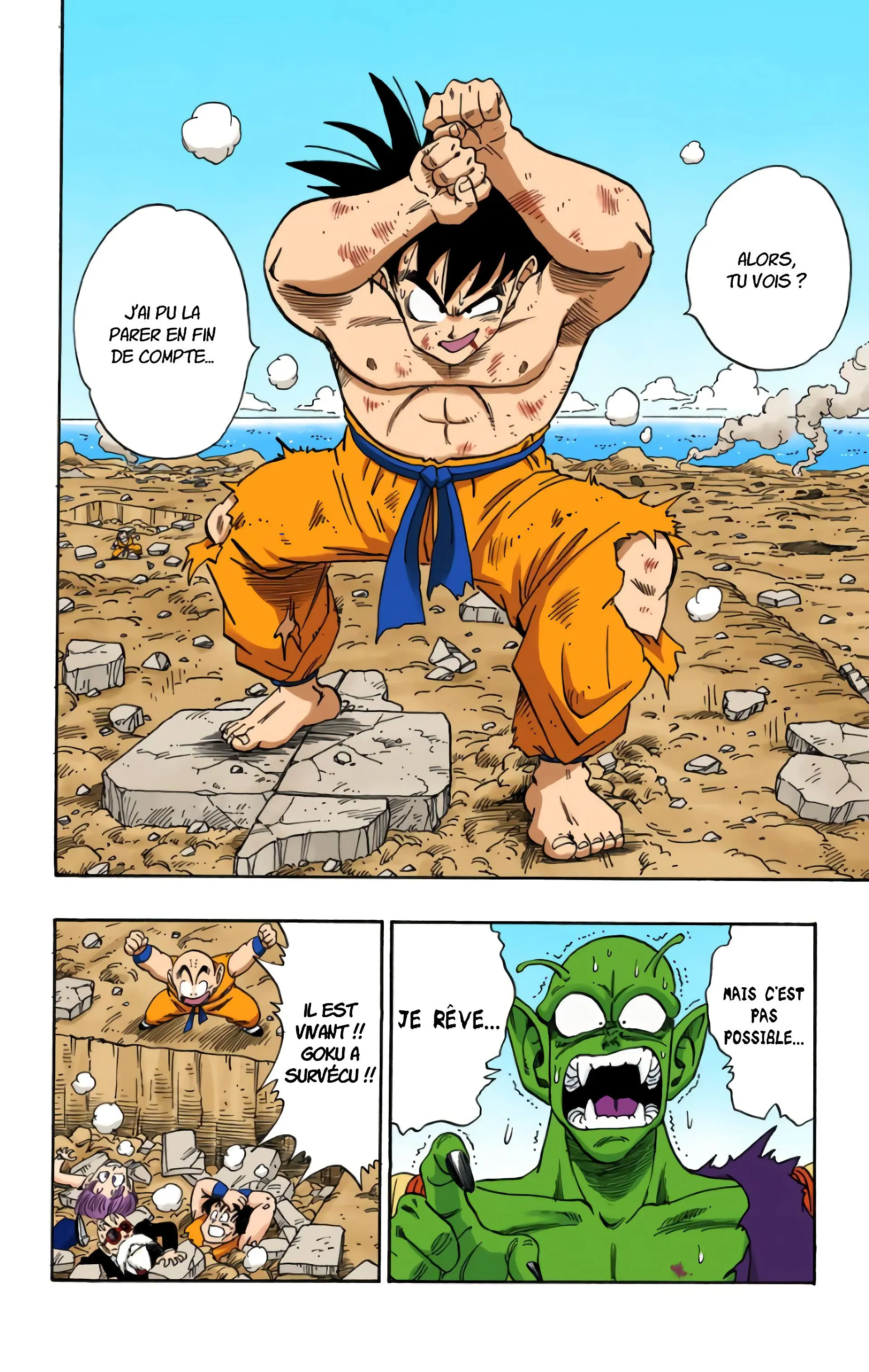 Read Dragon Ball FR Manga Online