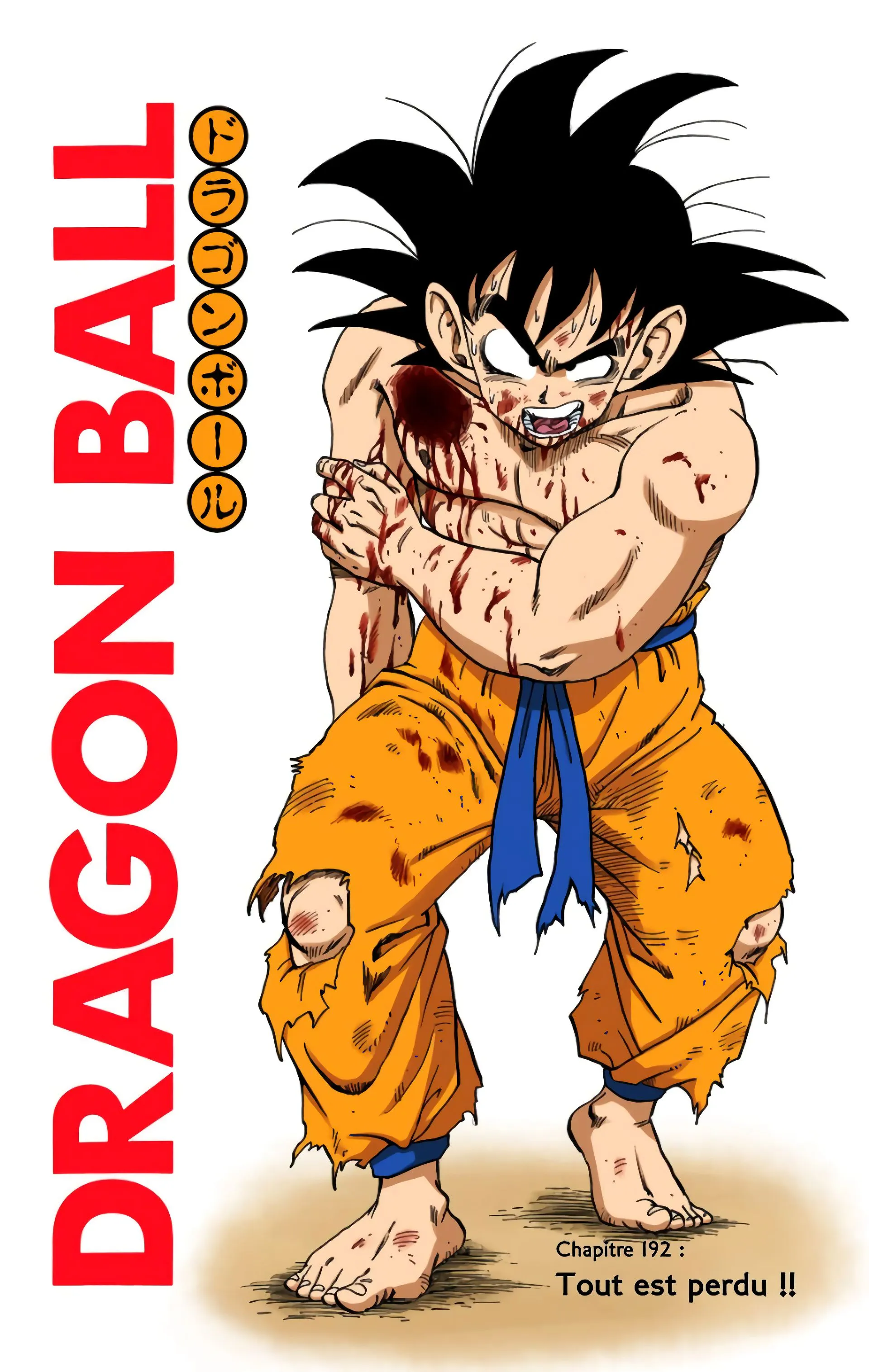 Read Dragon Ball FR Manga Online