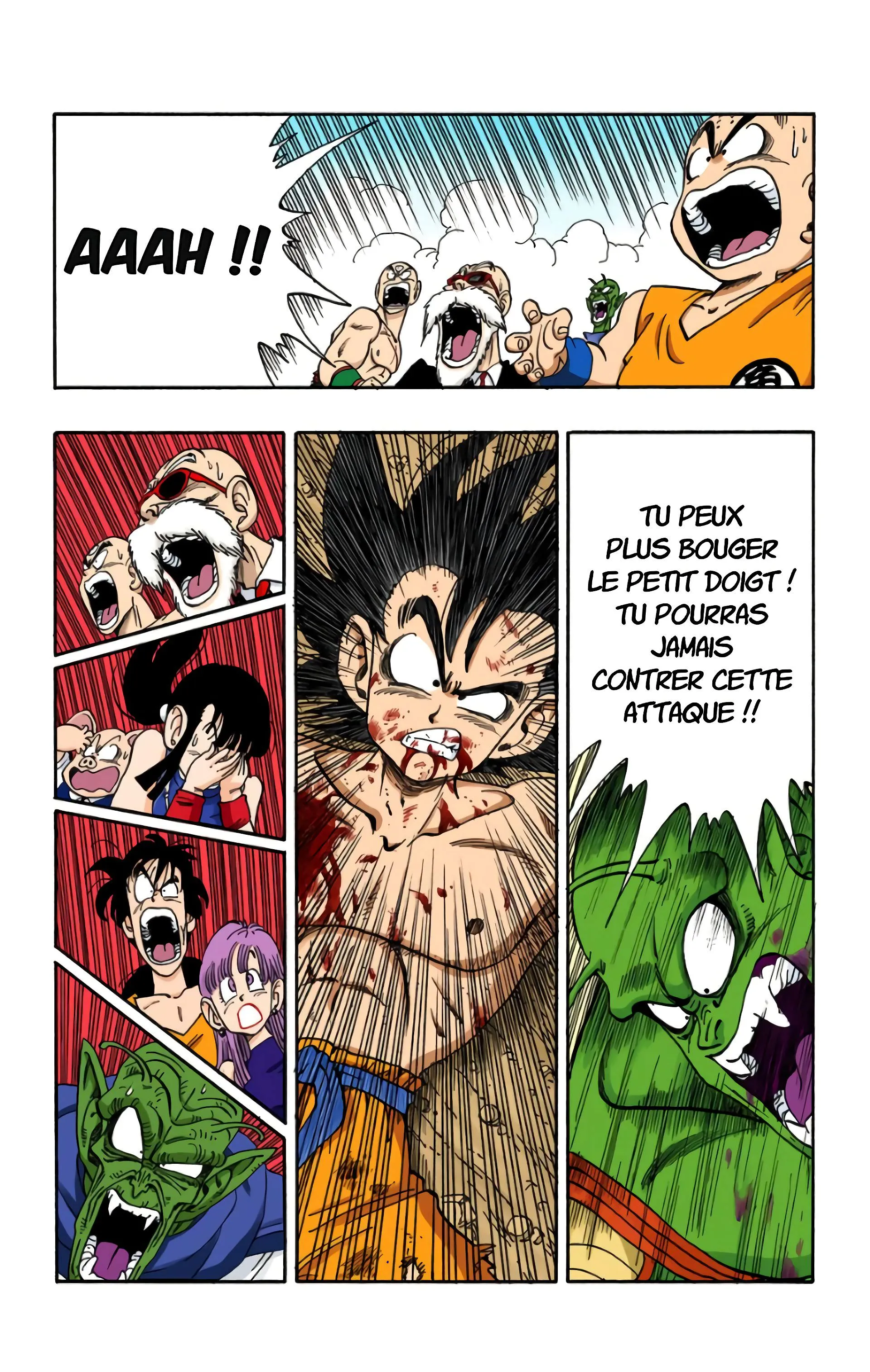 Read Dragon Ball FR Manga Online