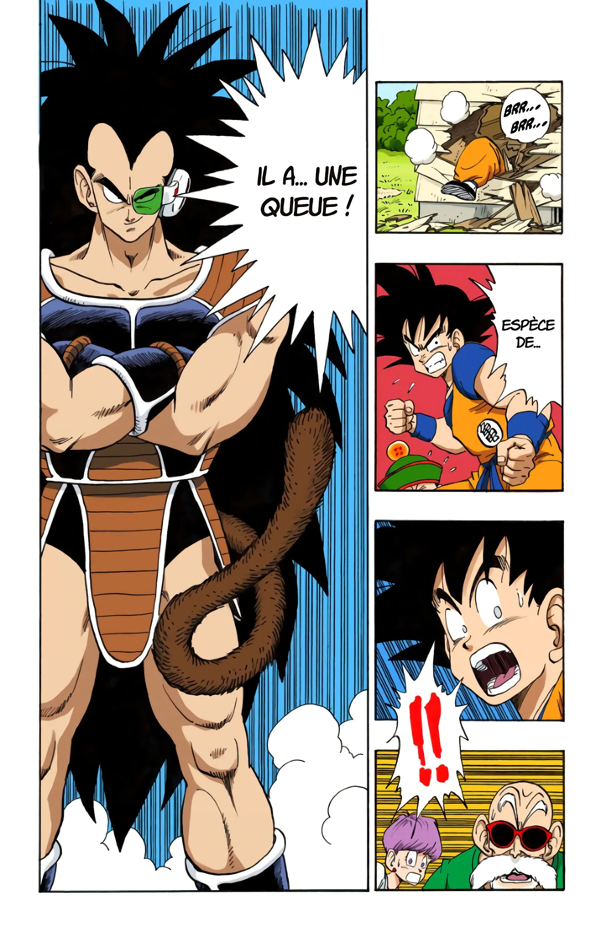 Read Dragon Ball FR Manga Online