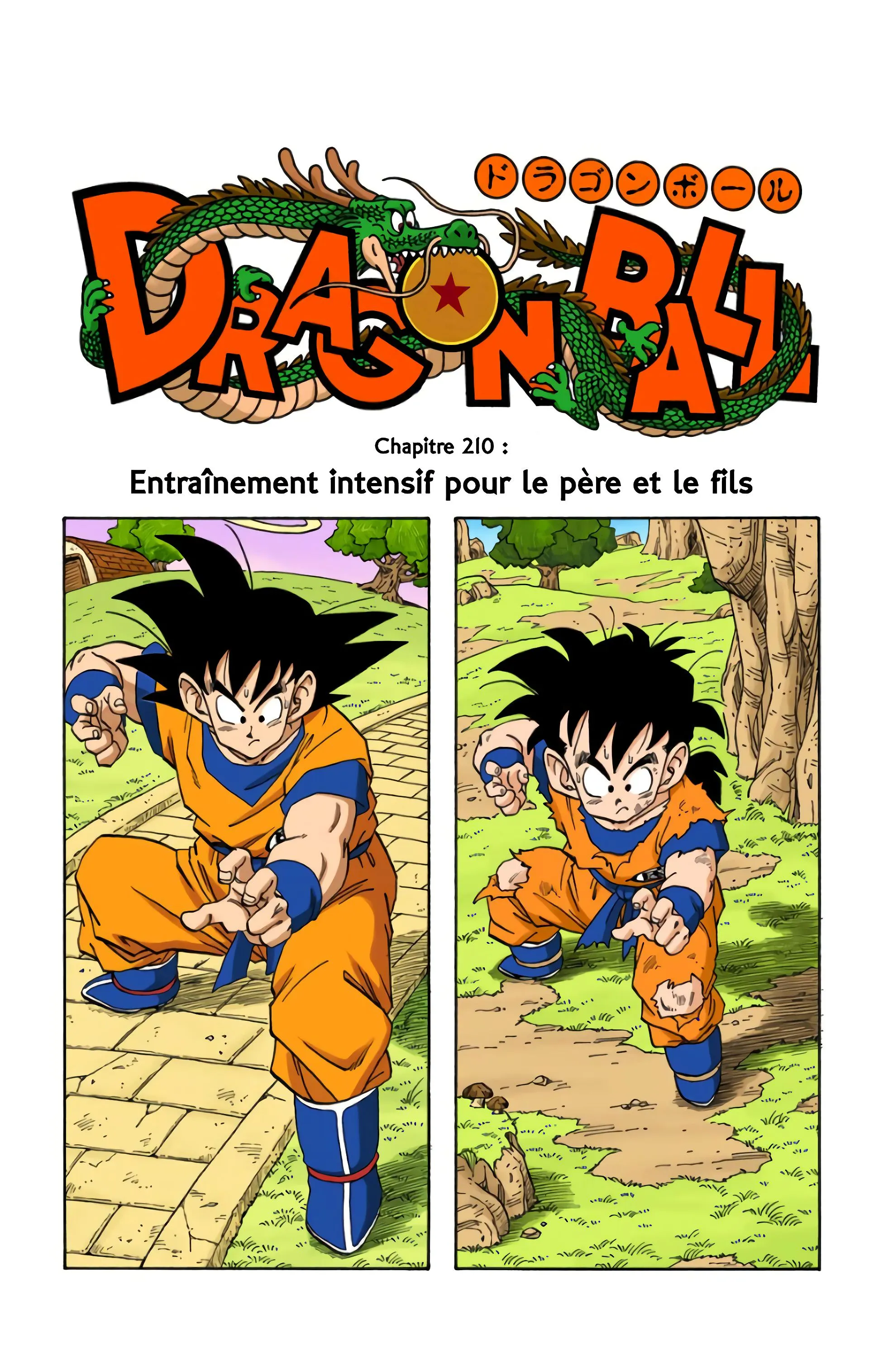 Read Dragon Ball FR Manga Online