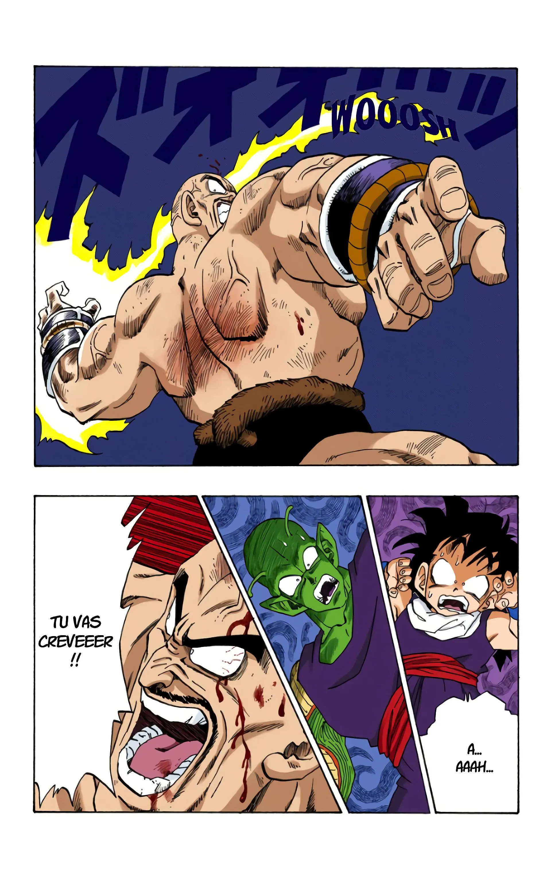 Read Dragon Ball FR Manga Online