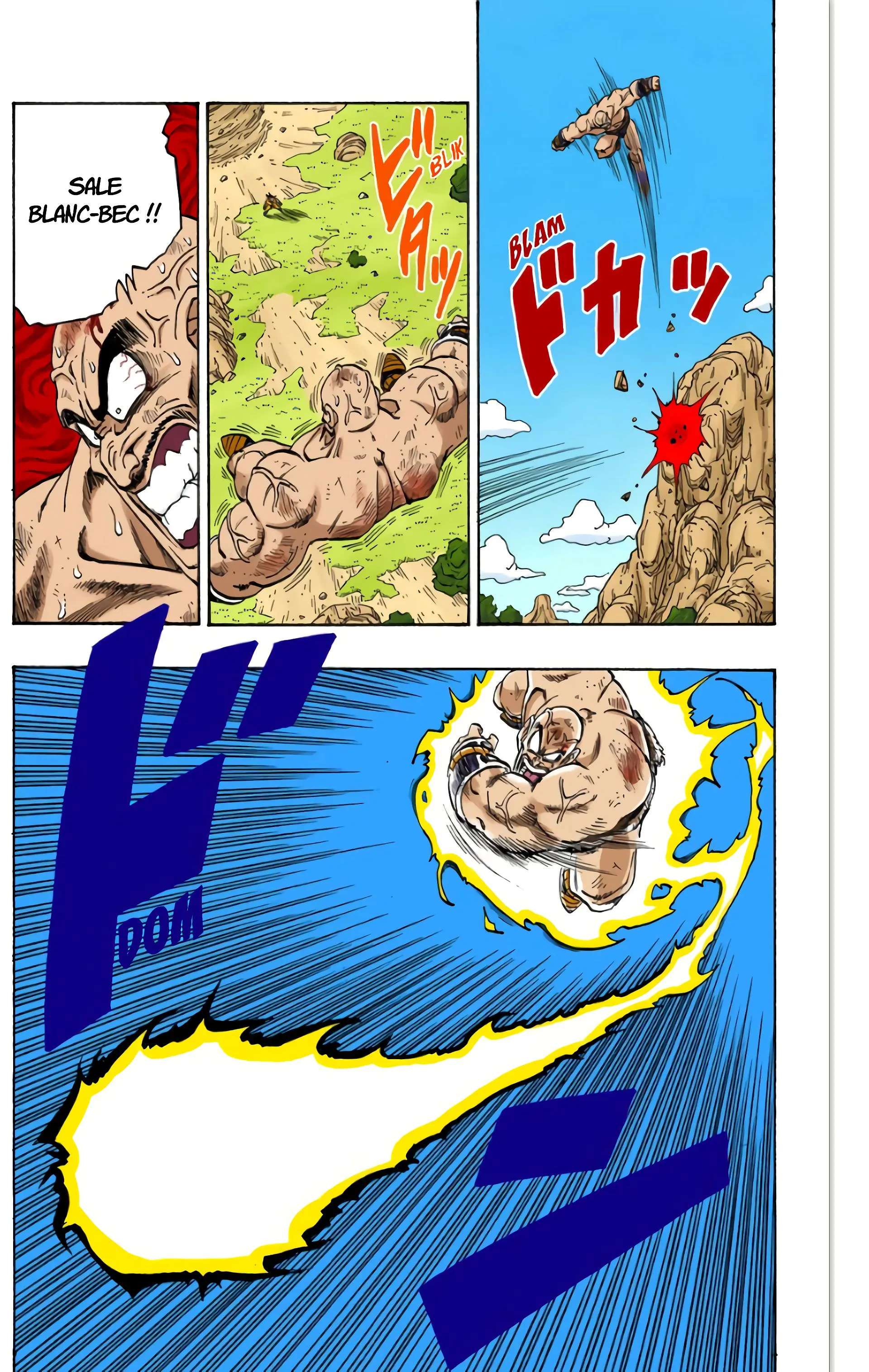 Read Dragon Ball FR Manga Online