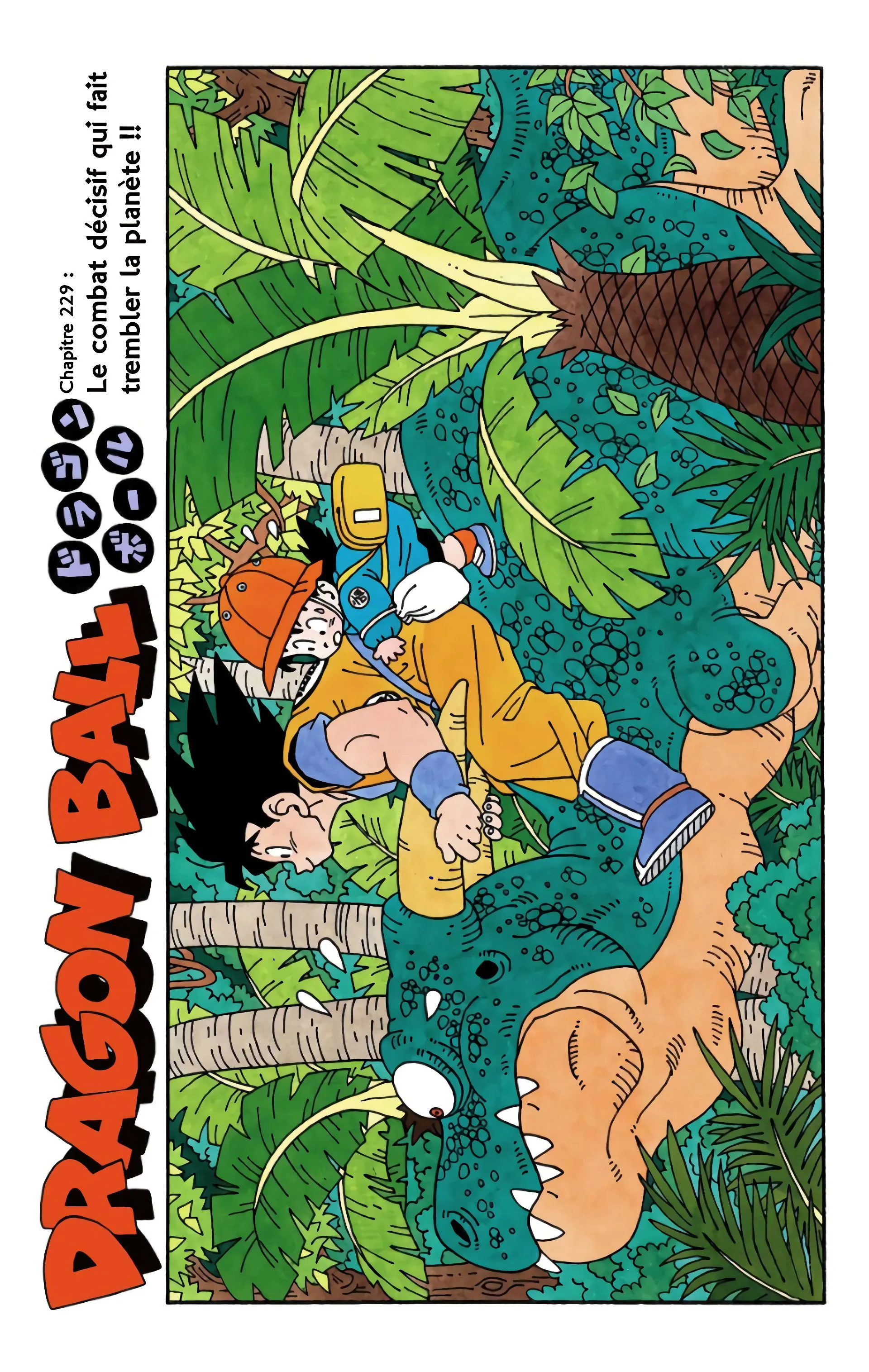Read Dragon Ball FR Manga Online