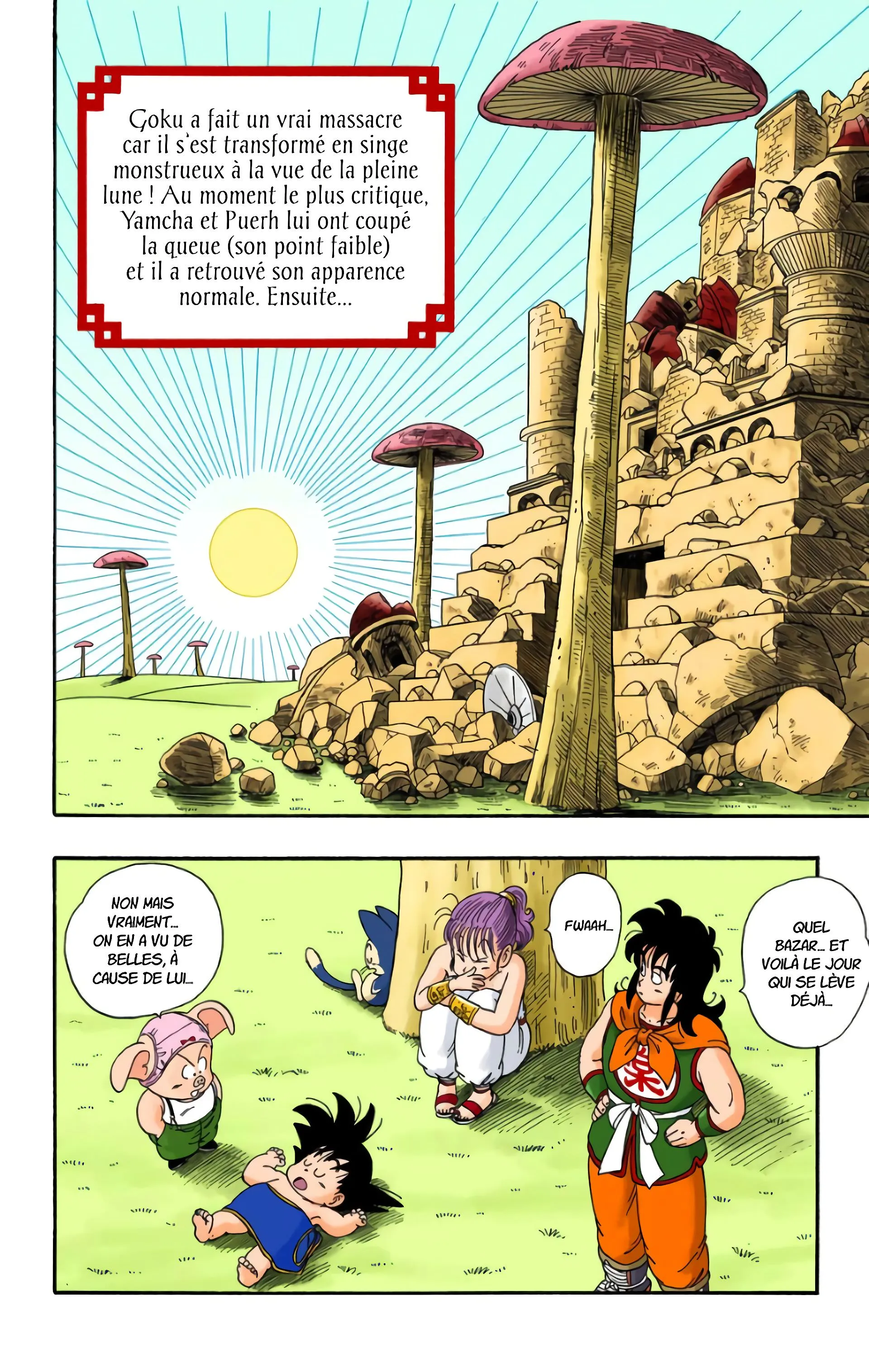 Read Dragon Ball FR Manga Online