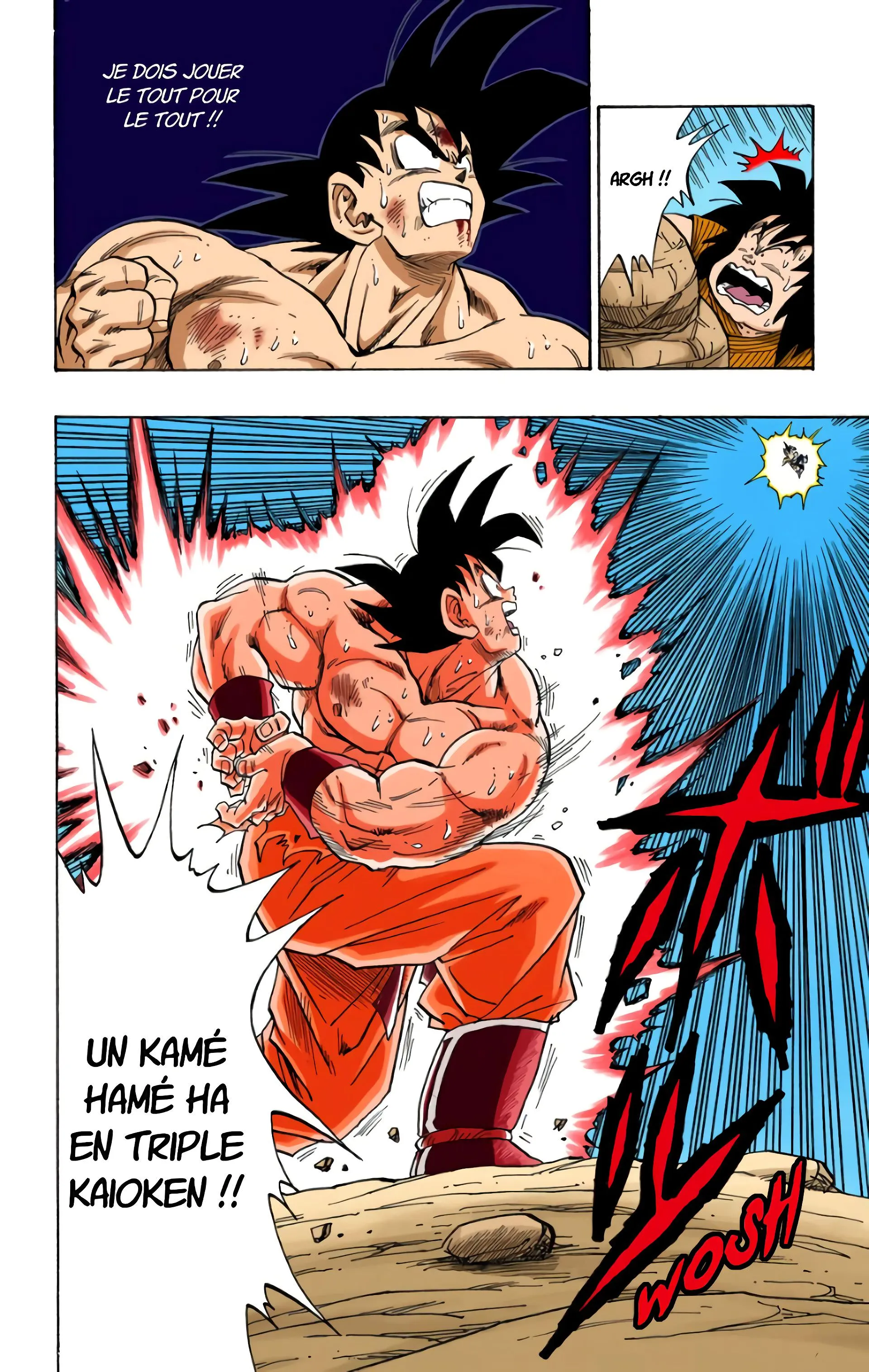 Read Dragon Ball FR Manga Online