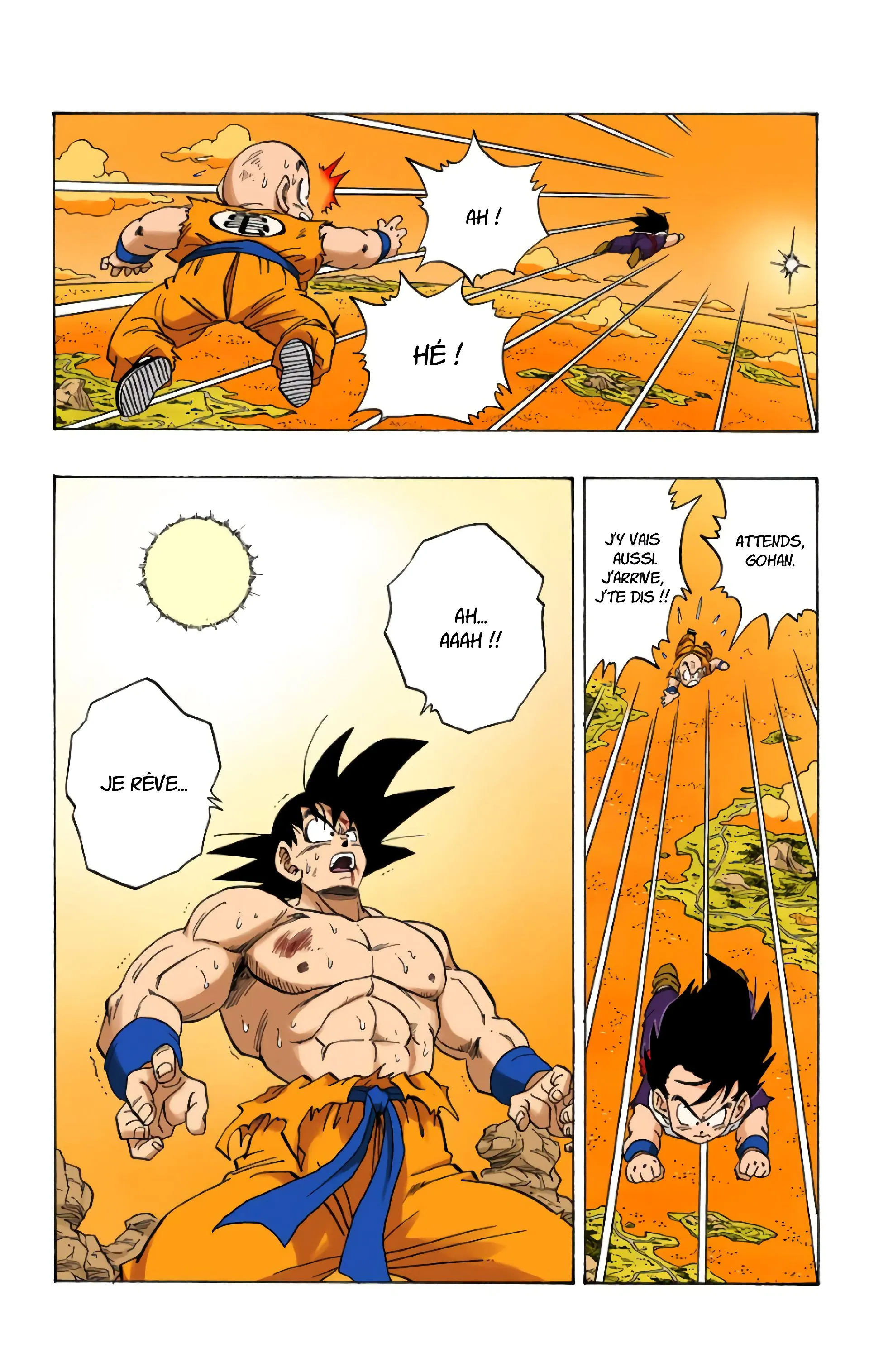 Read Dragon Ball FR Manga Online