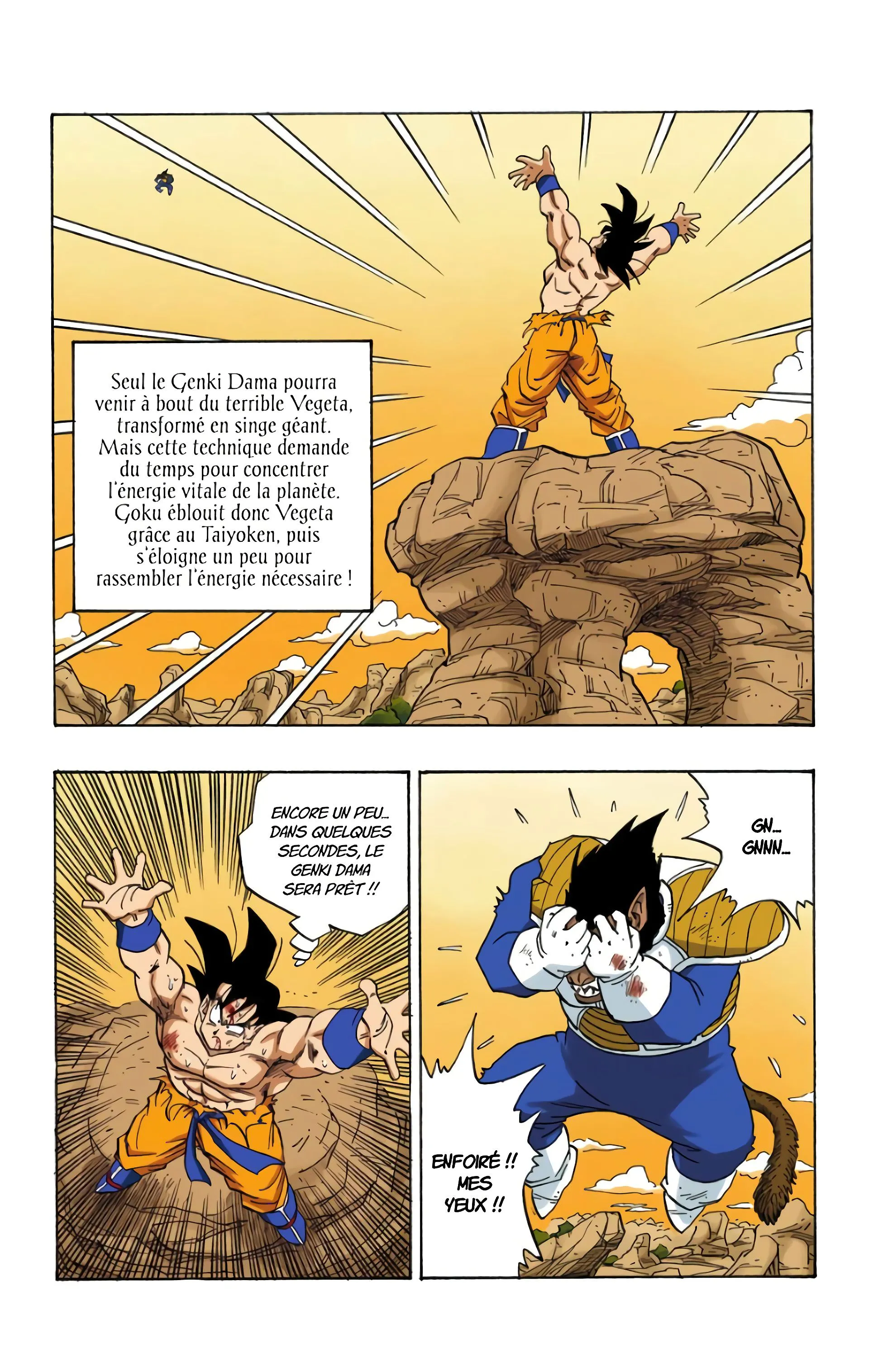 Read Dragon Ball FR Manga Online