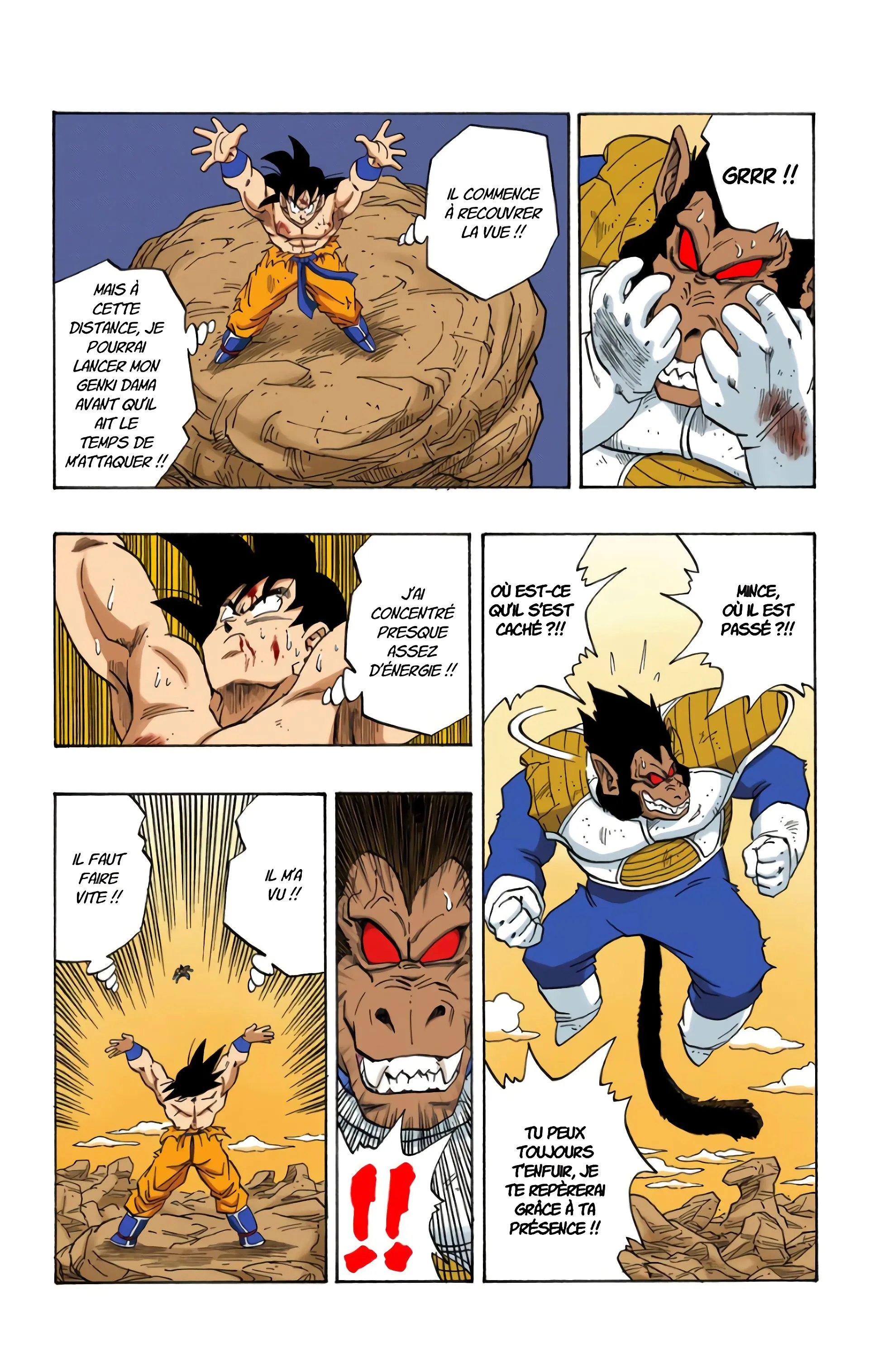 Read Dragon Ball FR Manga Online