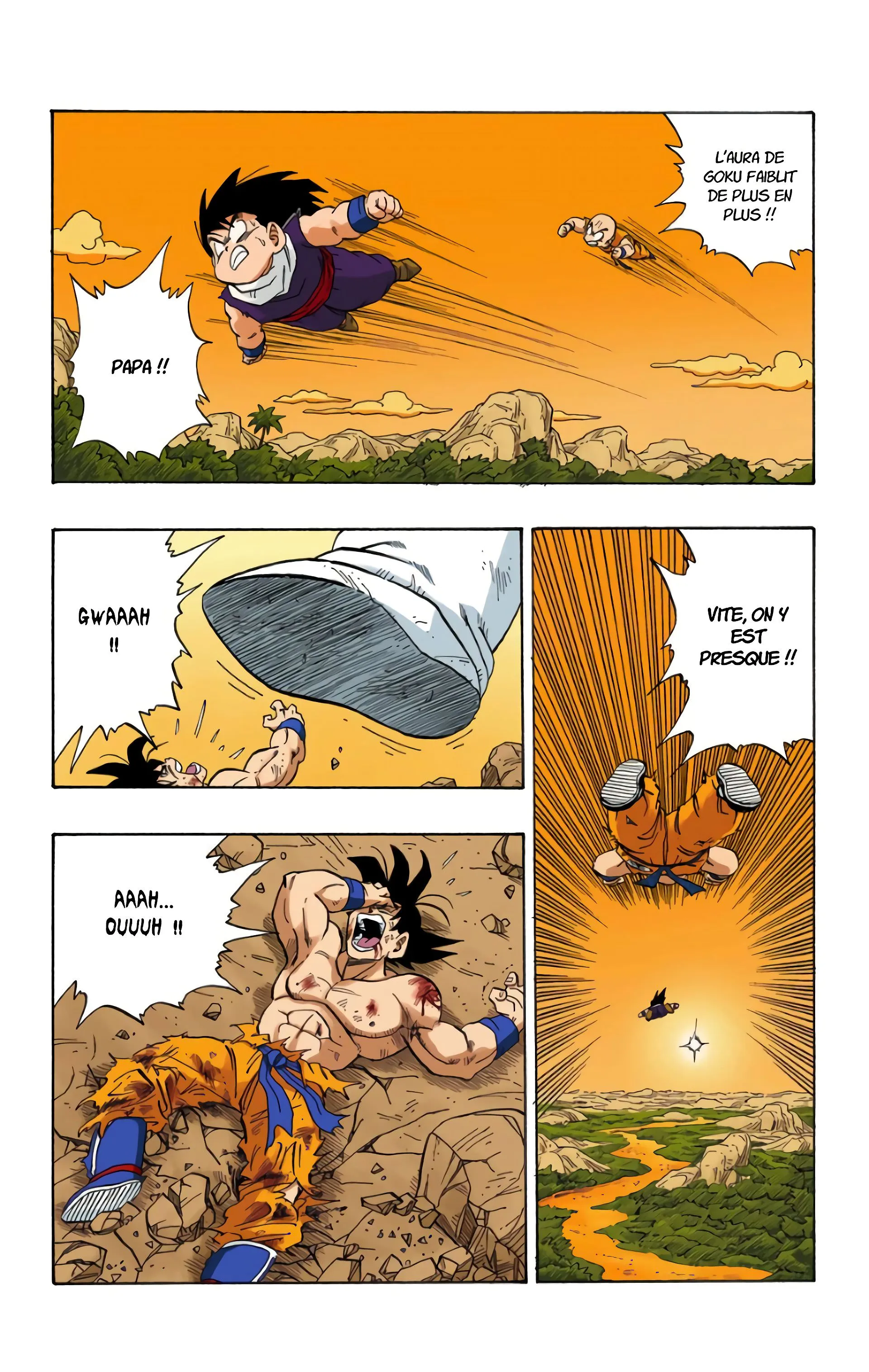 Read Dragon Ball FR Manga Online