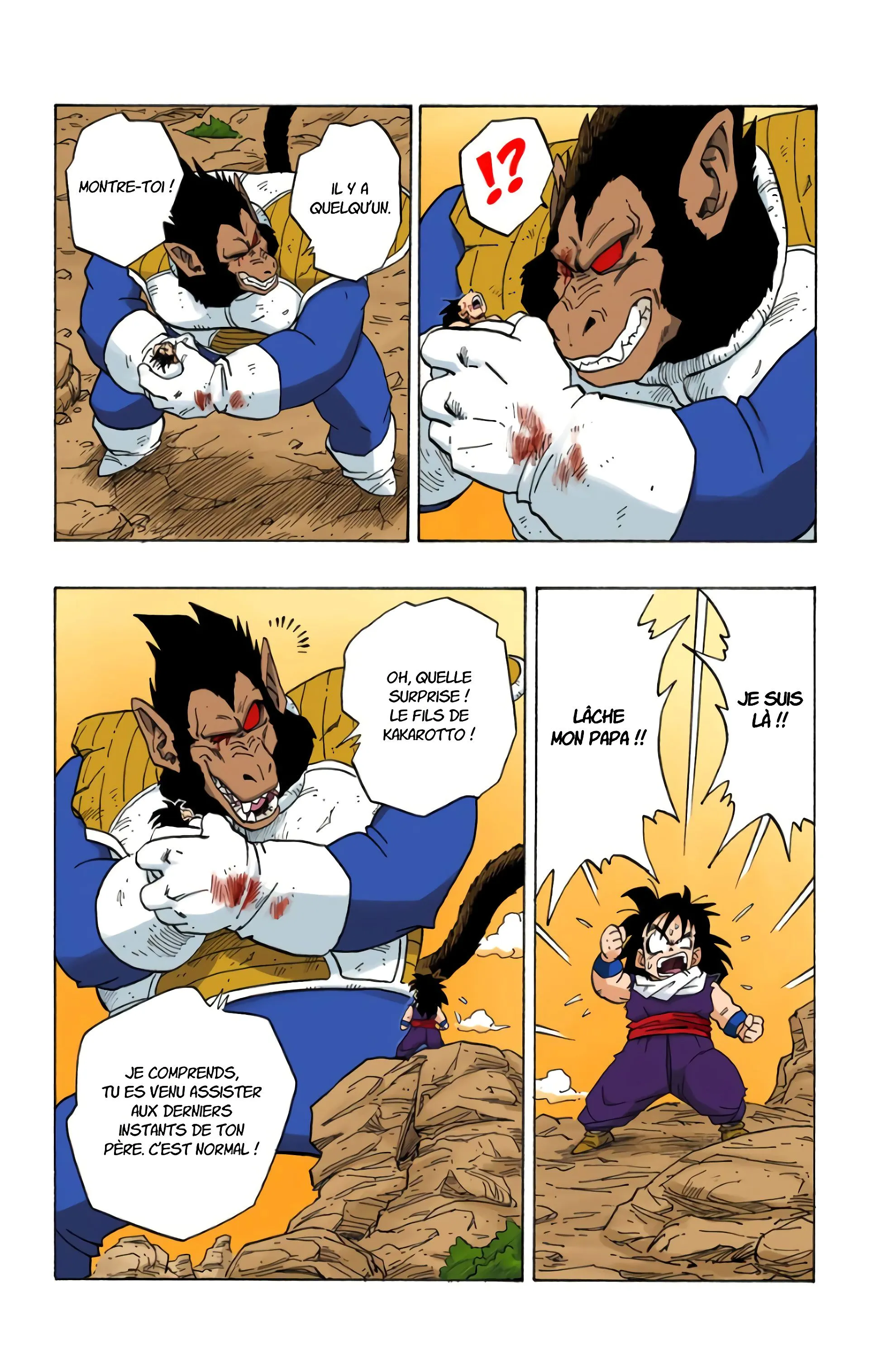 Read Dragon Ball FR Manga Online