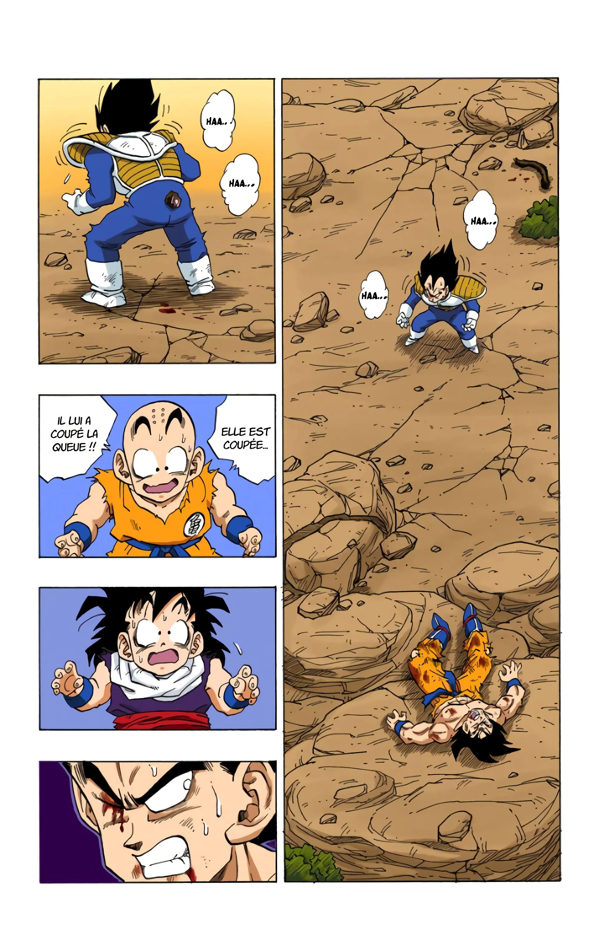 Read Dragon Ball FR Manga Online