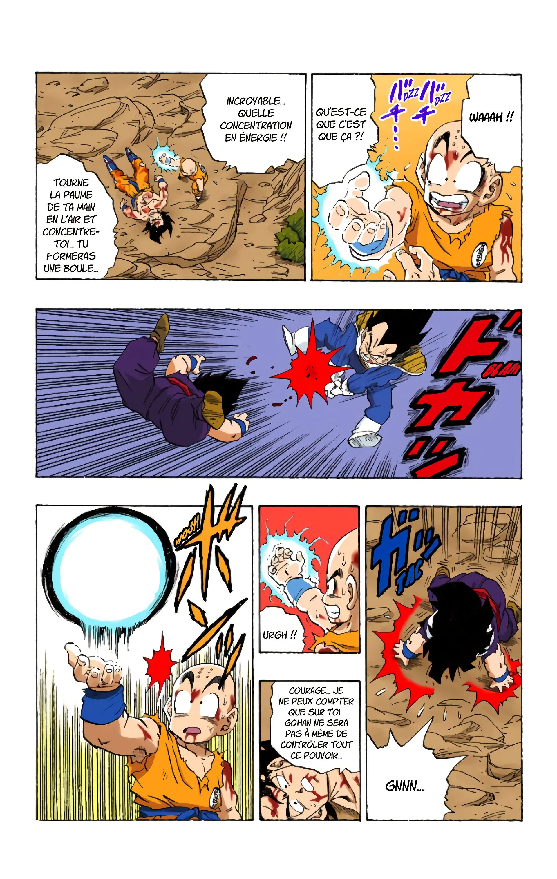 Read Dragon Ball FR Manga Online