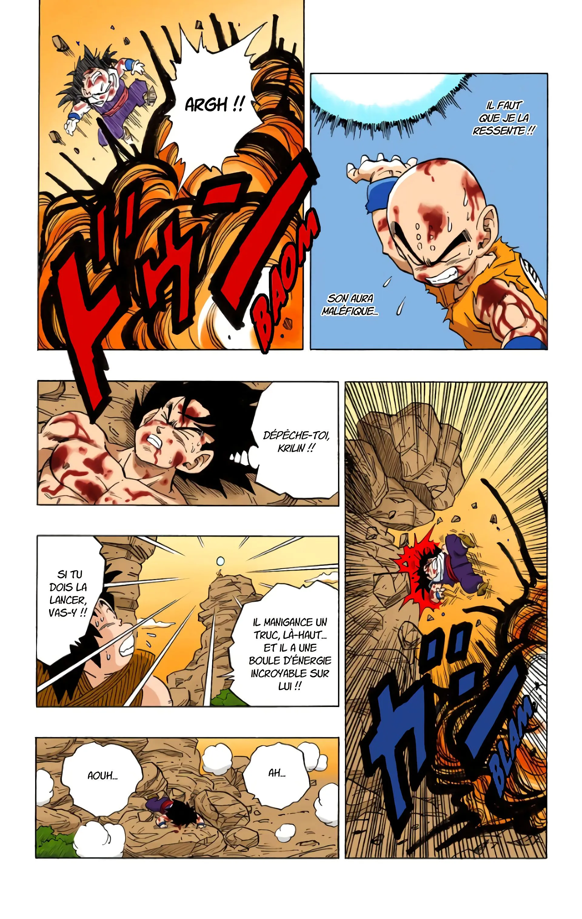 Read Dragon Ball FR Manga Online