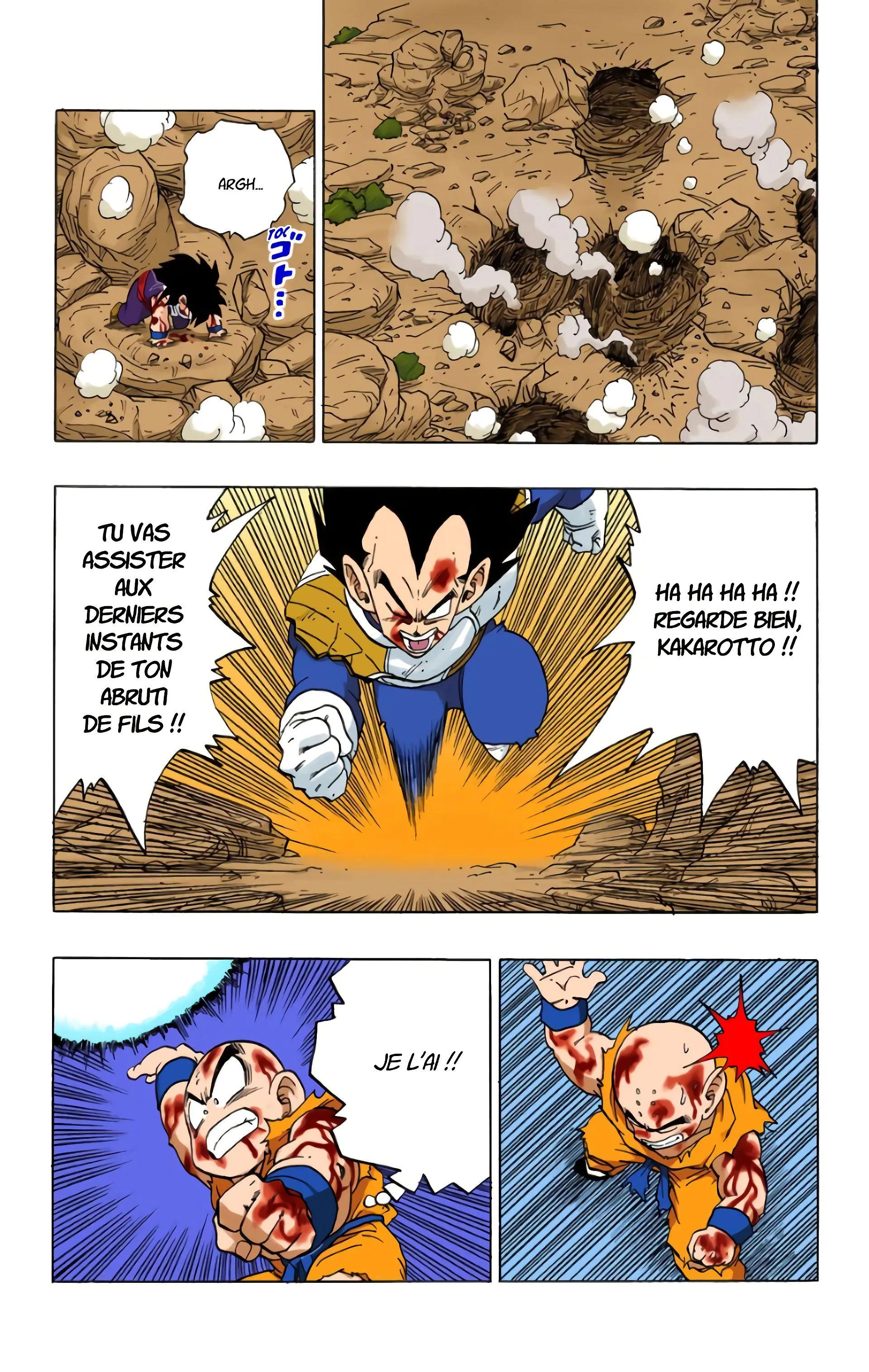 Read Dragon Ball FR Manga Online