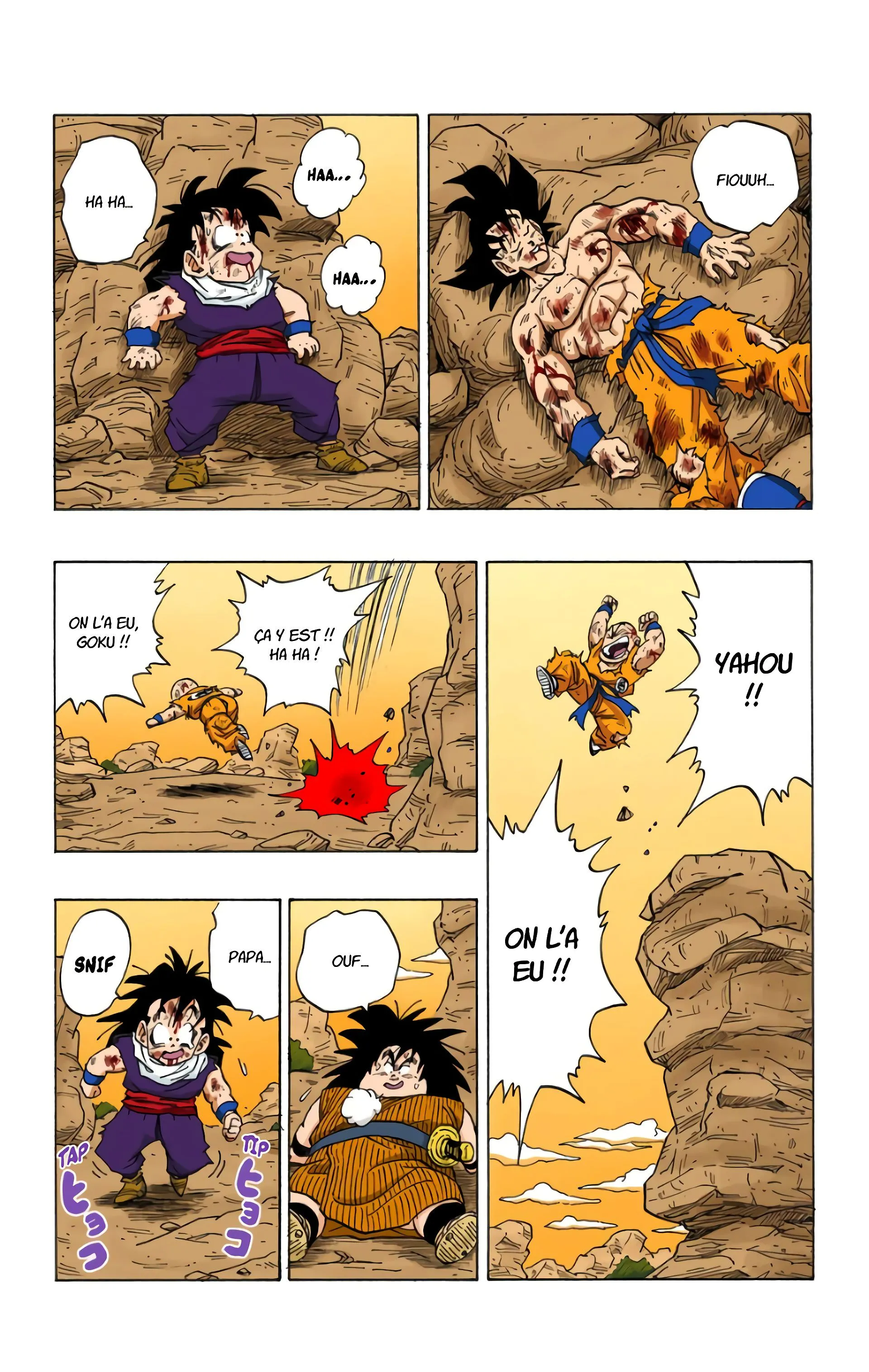Read Dragon Ball FR Manga Online