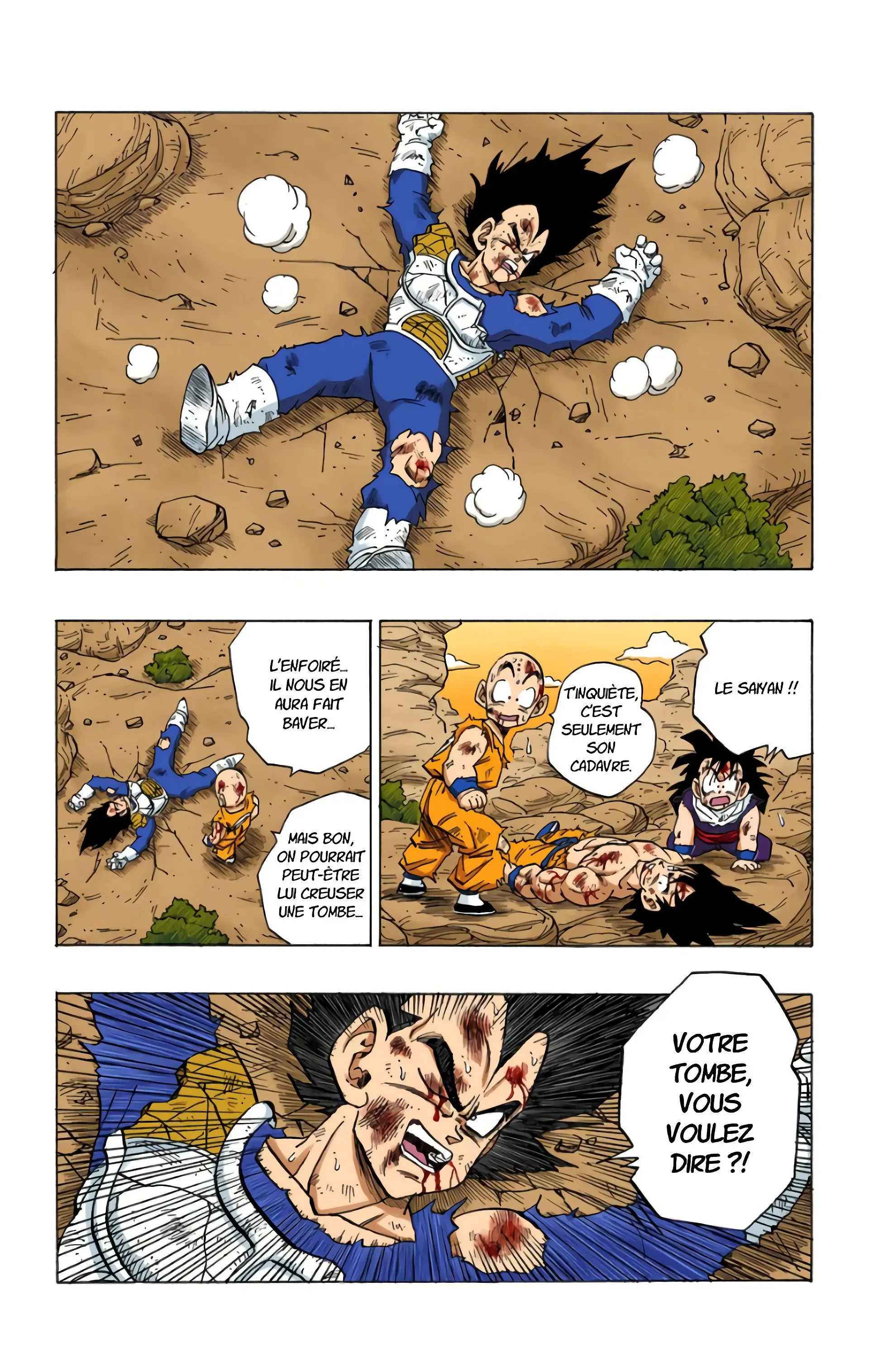 Read Dragon Ball FR Manga Online
