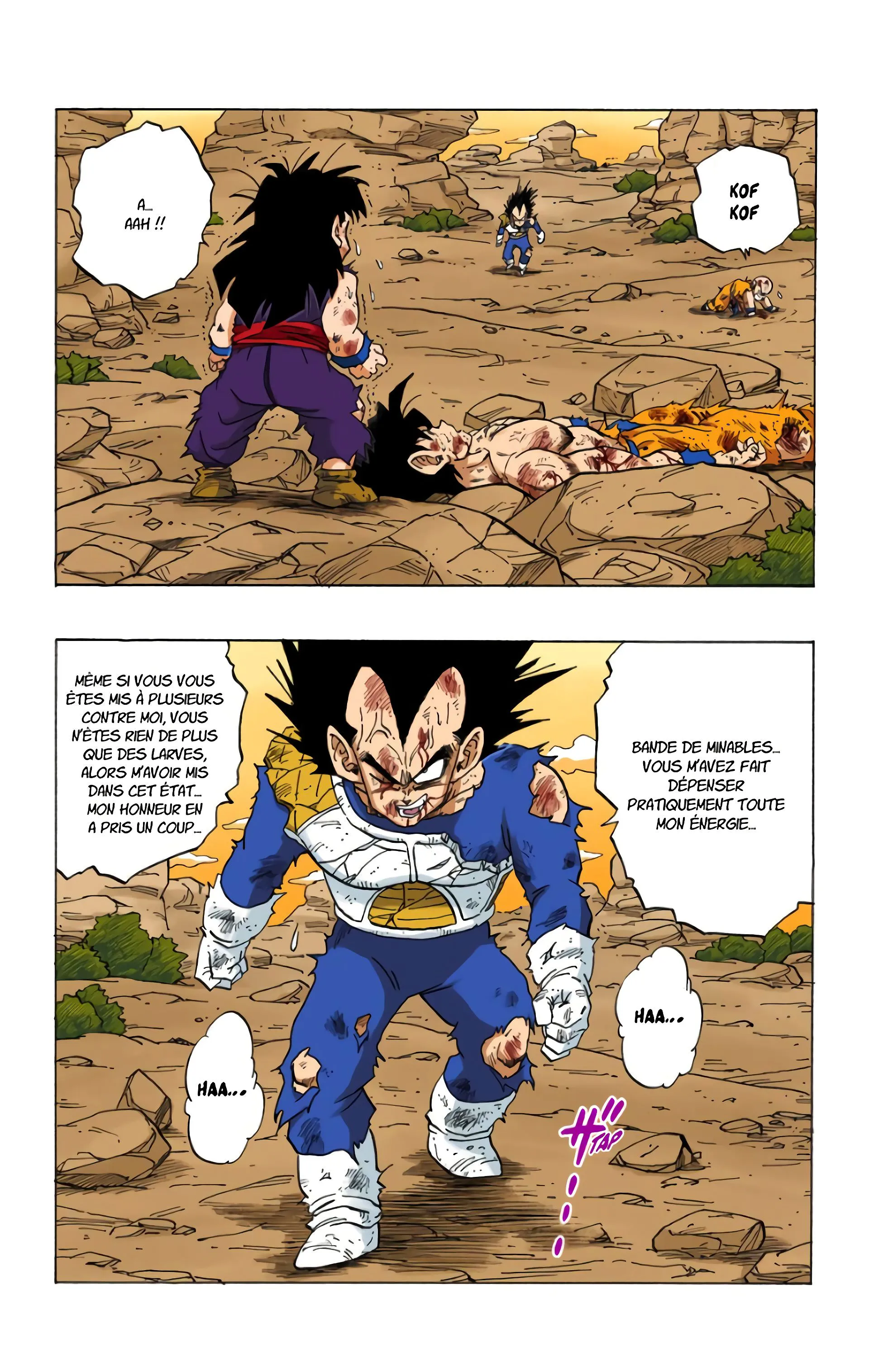 Read Dragon Ball FR Manga Online