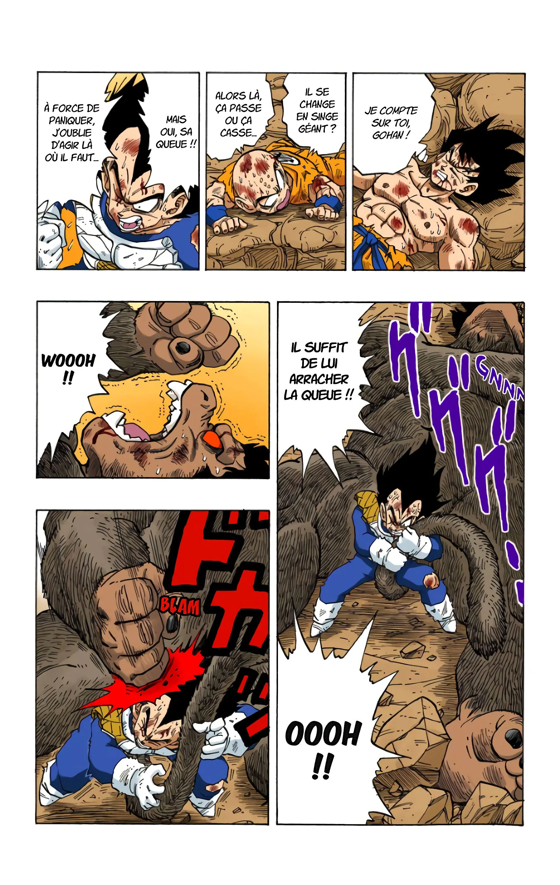 Read Dragon Ball FR Manga Online