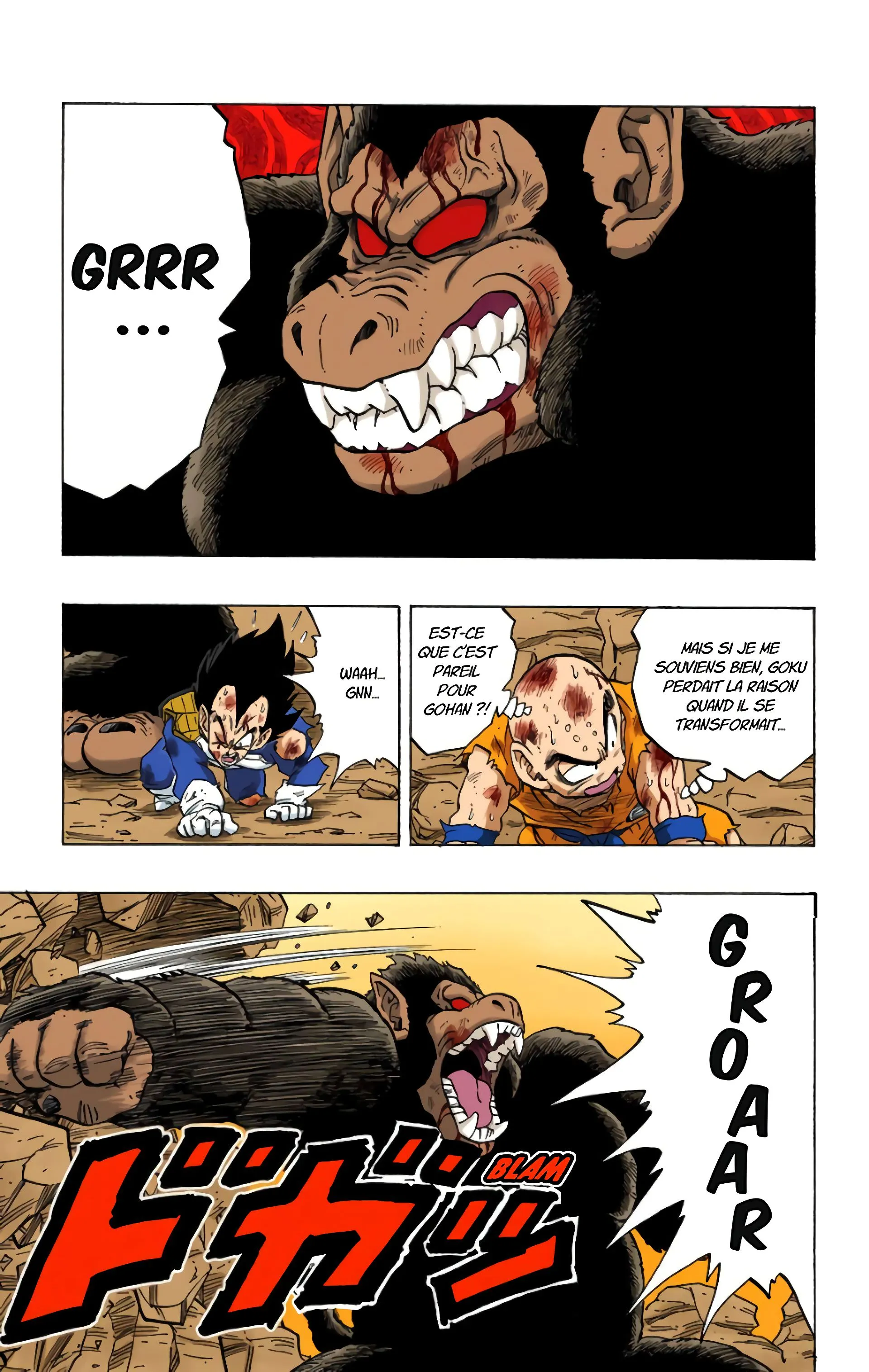 Read Dragon Ball FR Manga Online