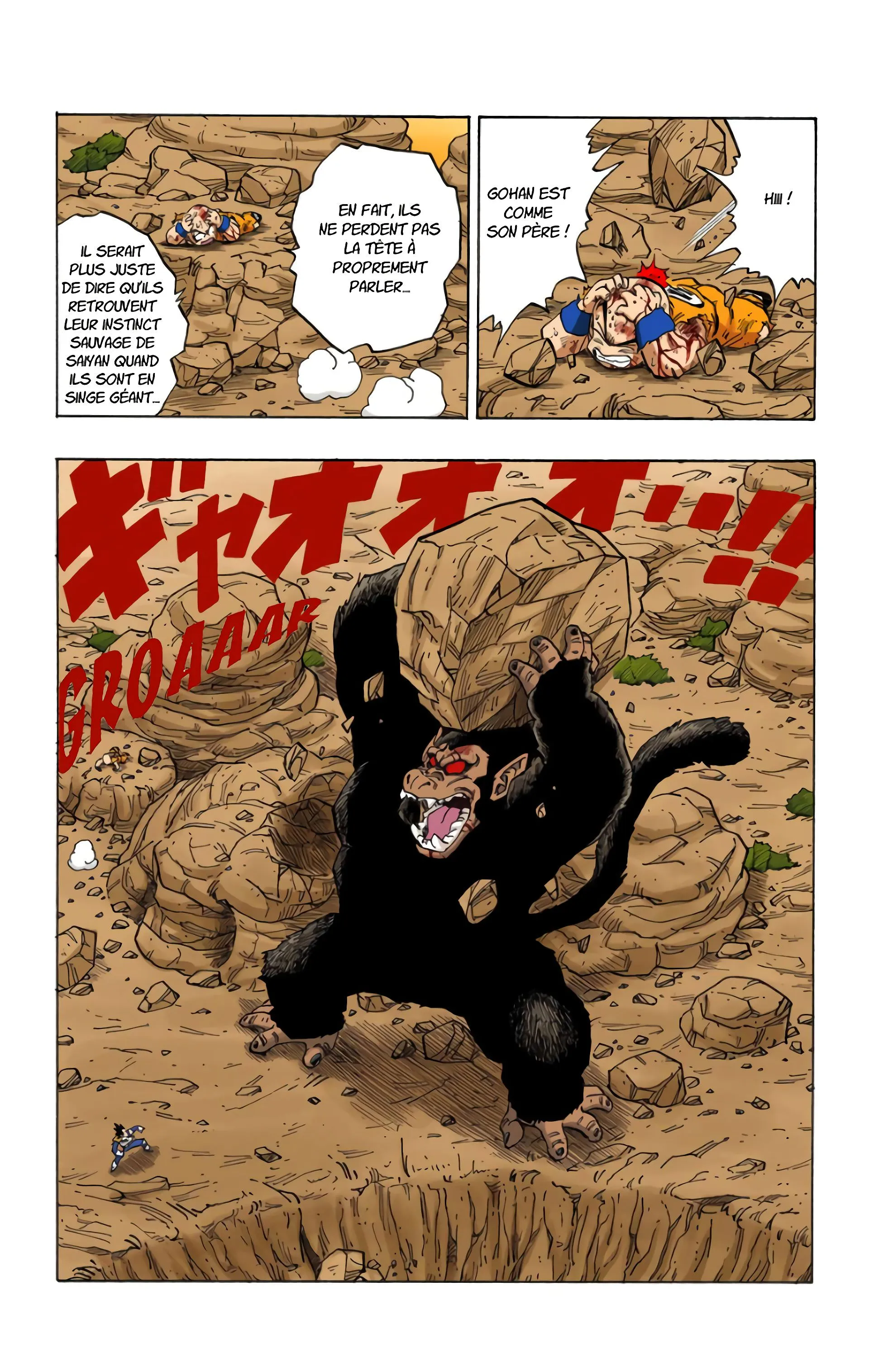 Read Dragon Ball FR Manga Online