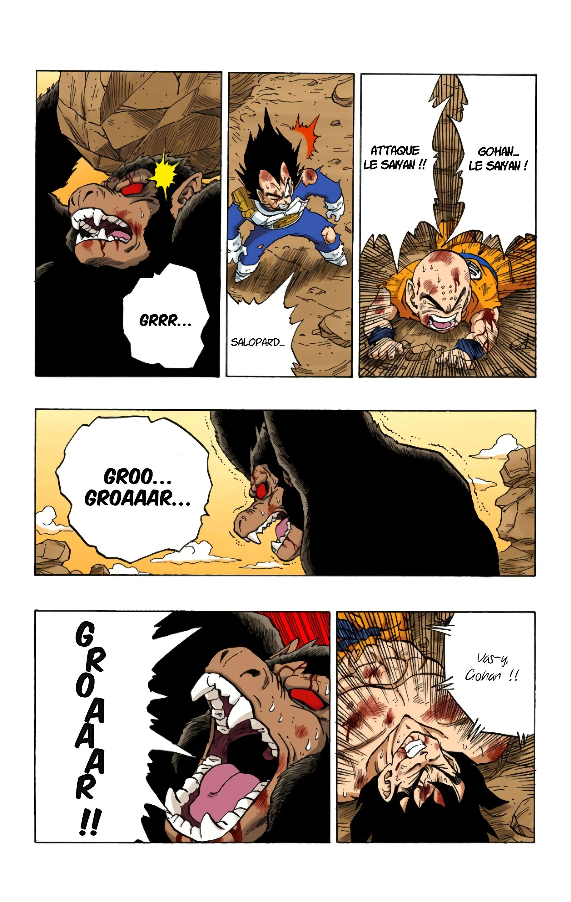 Read Dragon Ball FR Manga Online