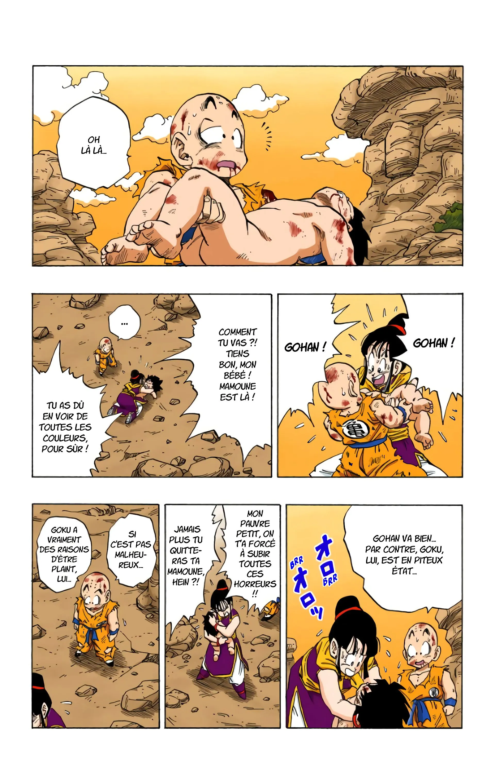 Read Dragon Ball FR Manga Online