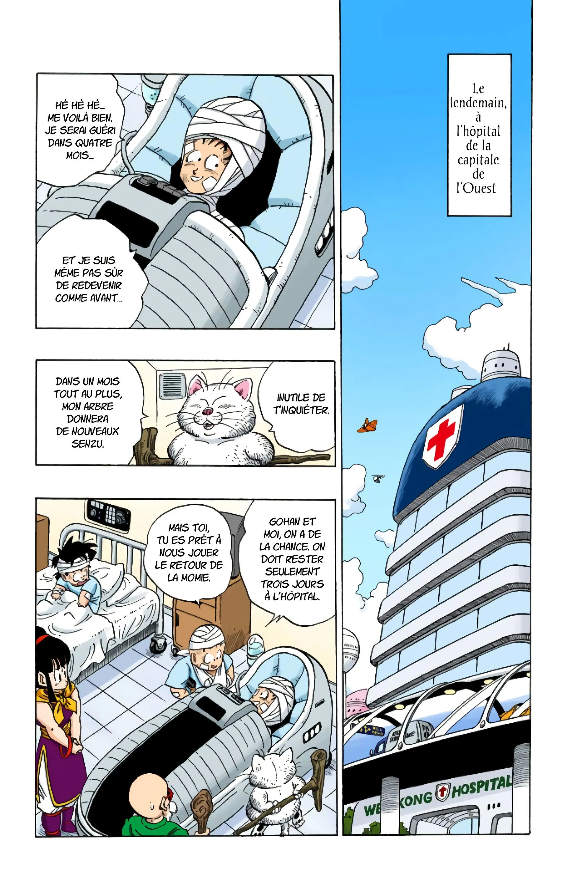 Read Dragon Ball FR Manga Online