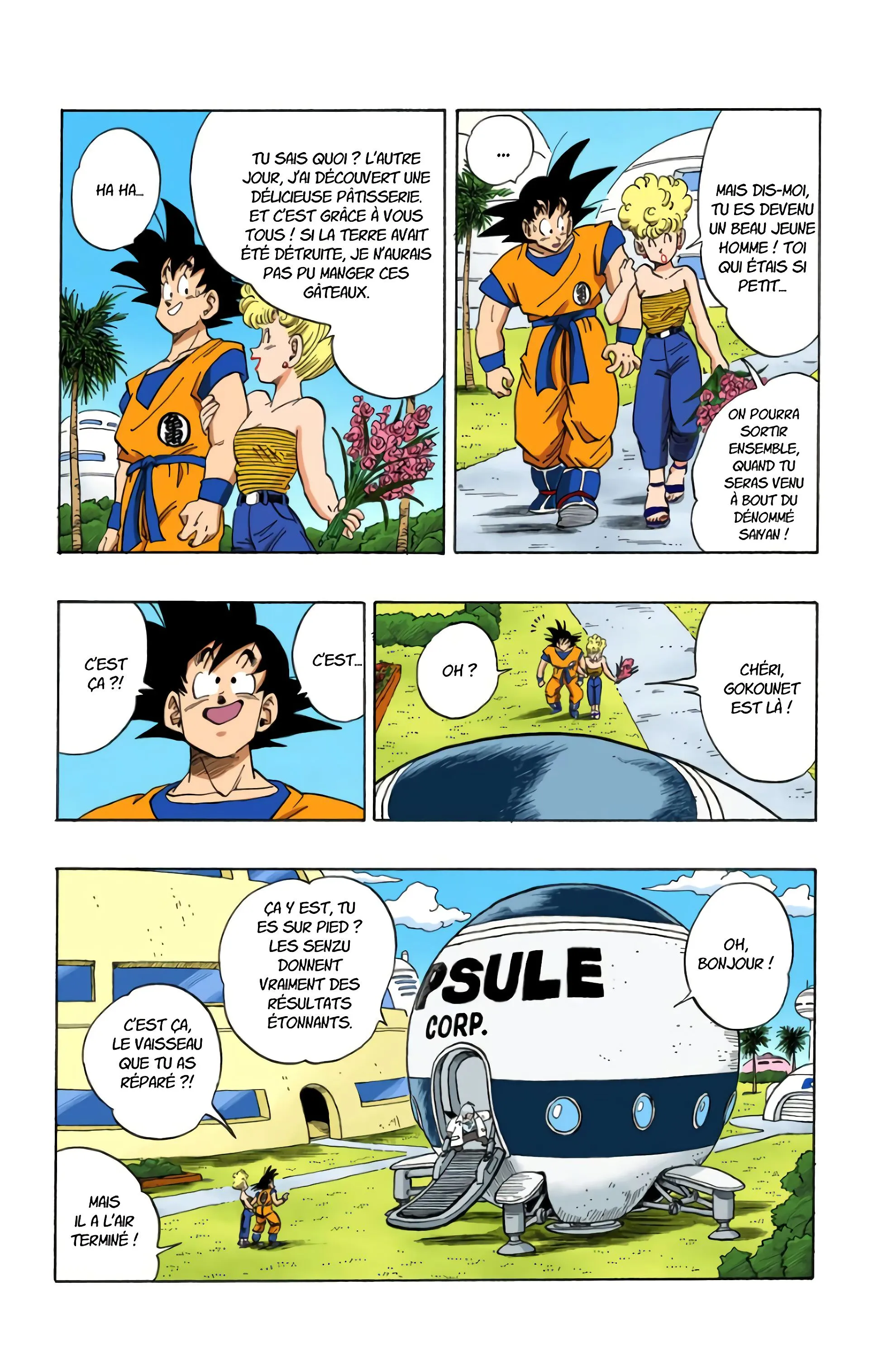 Read Dragon Ball FR Manga Online