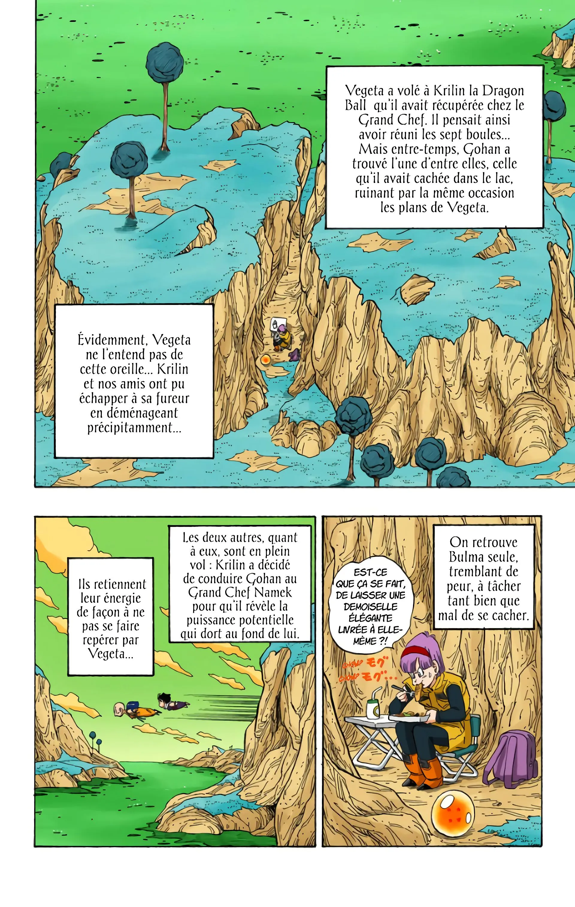 Read Dragon Ball FR Manga Online