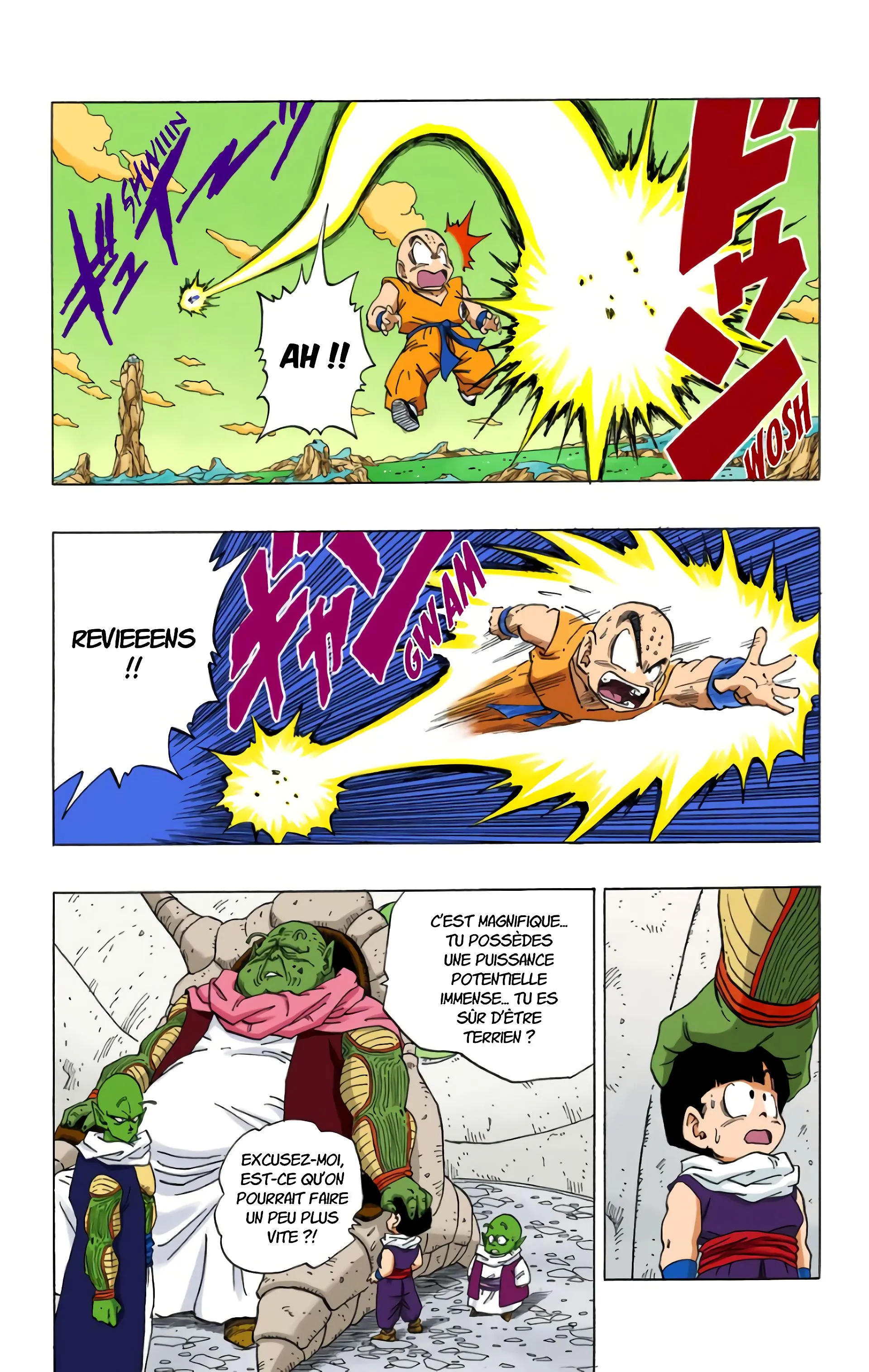 Read Dragon Ball FR Manga Online