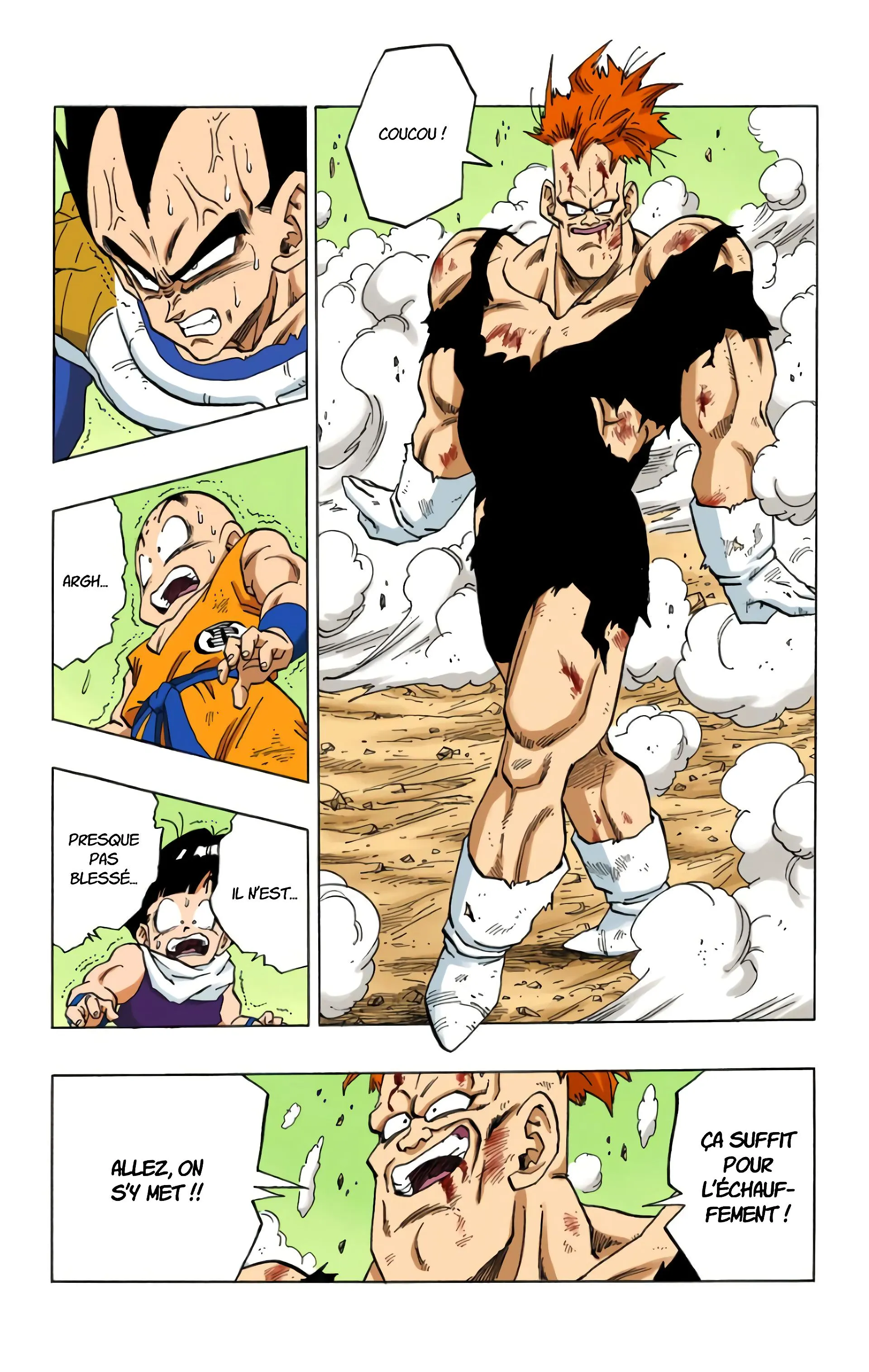 Read Dragon Ball FR Manga Online