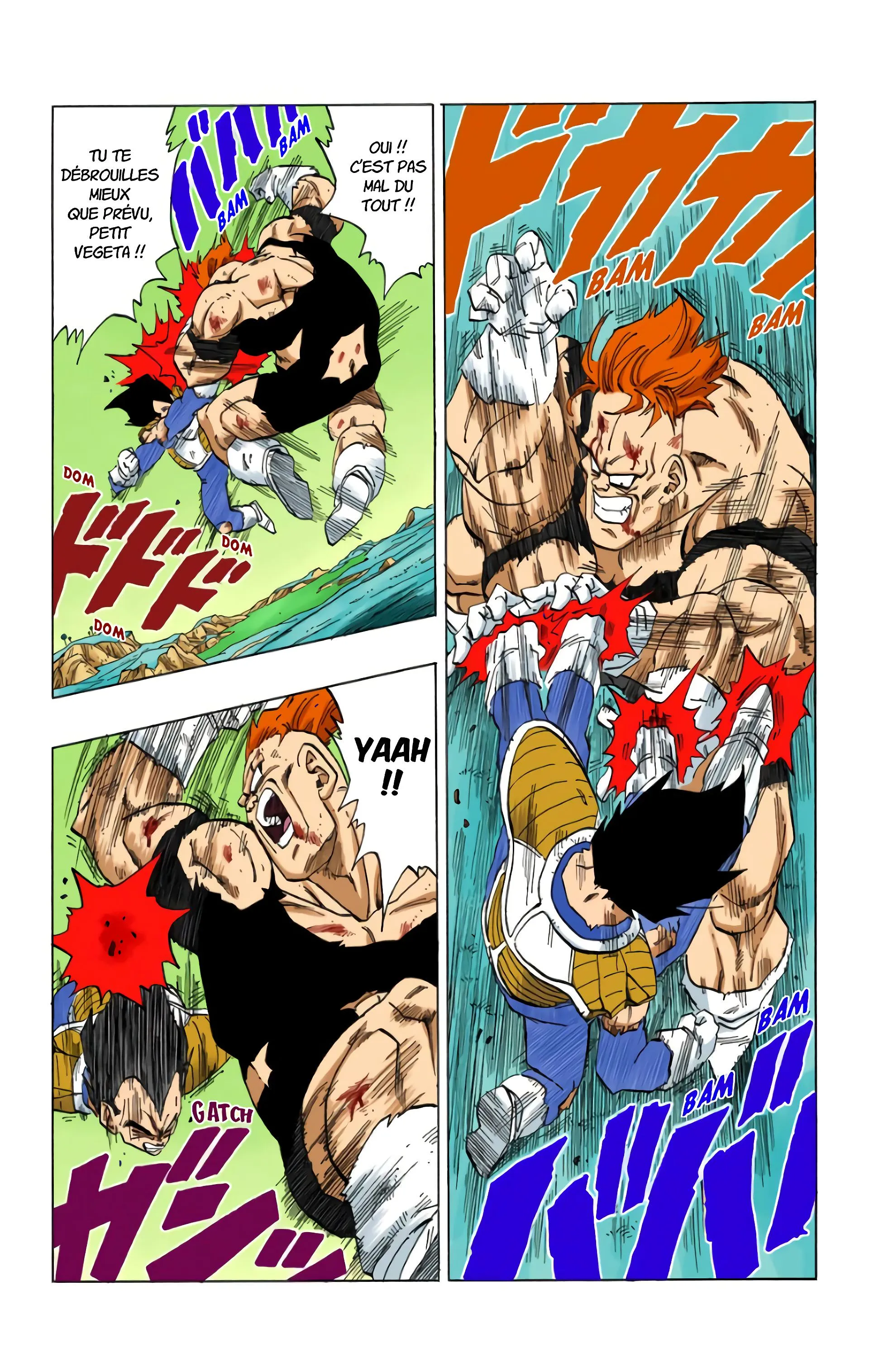 Read Dragon Ball FR Manga Online