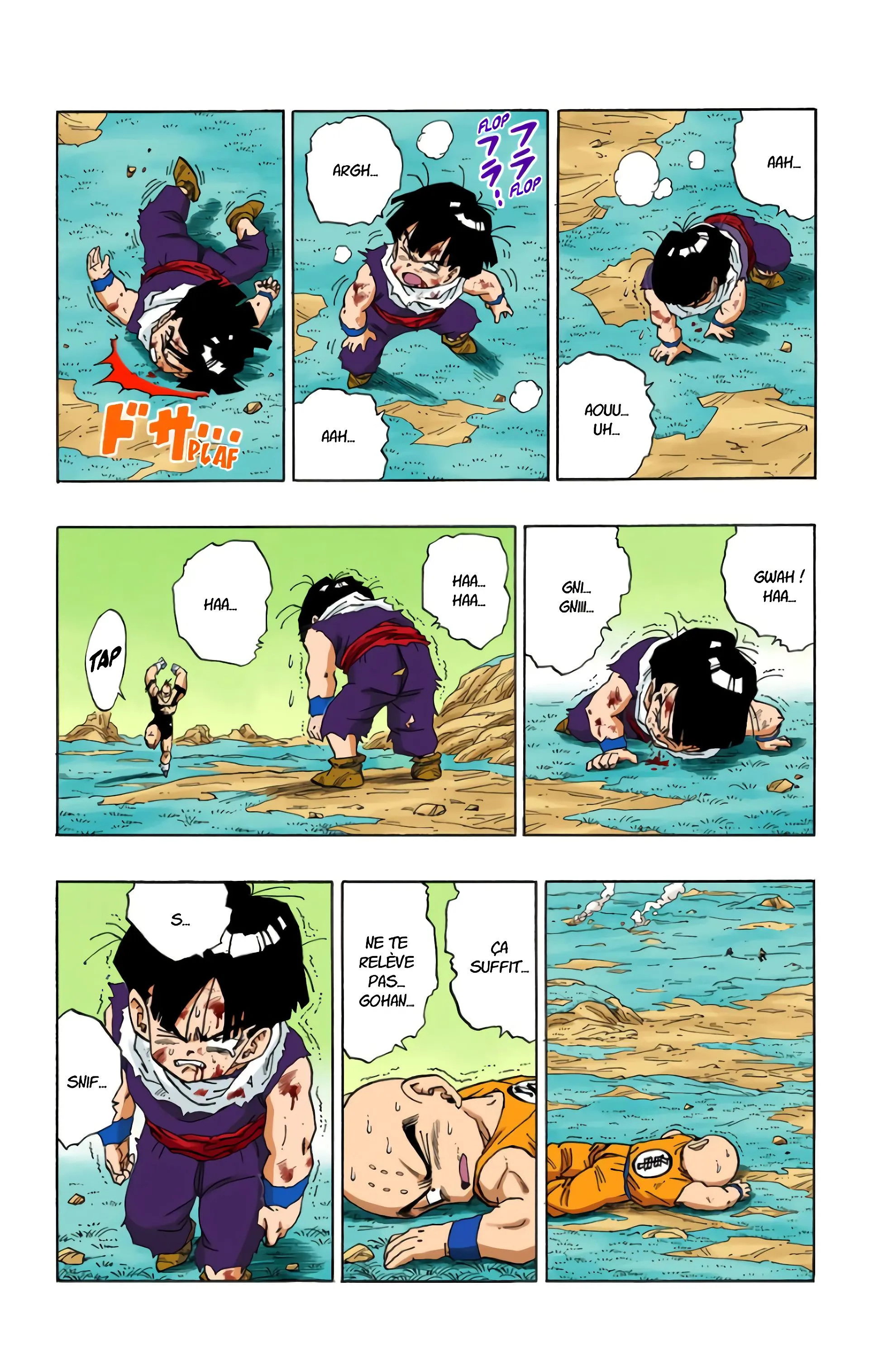 Read Dragon Ball FR Manga Online