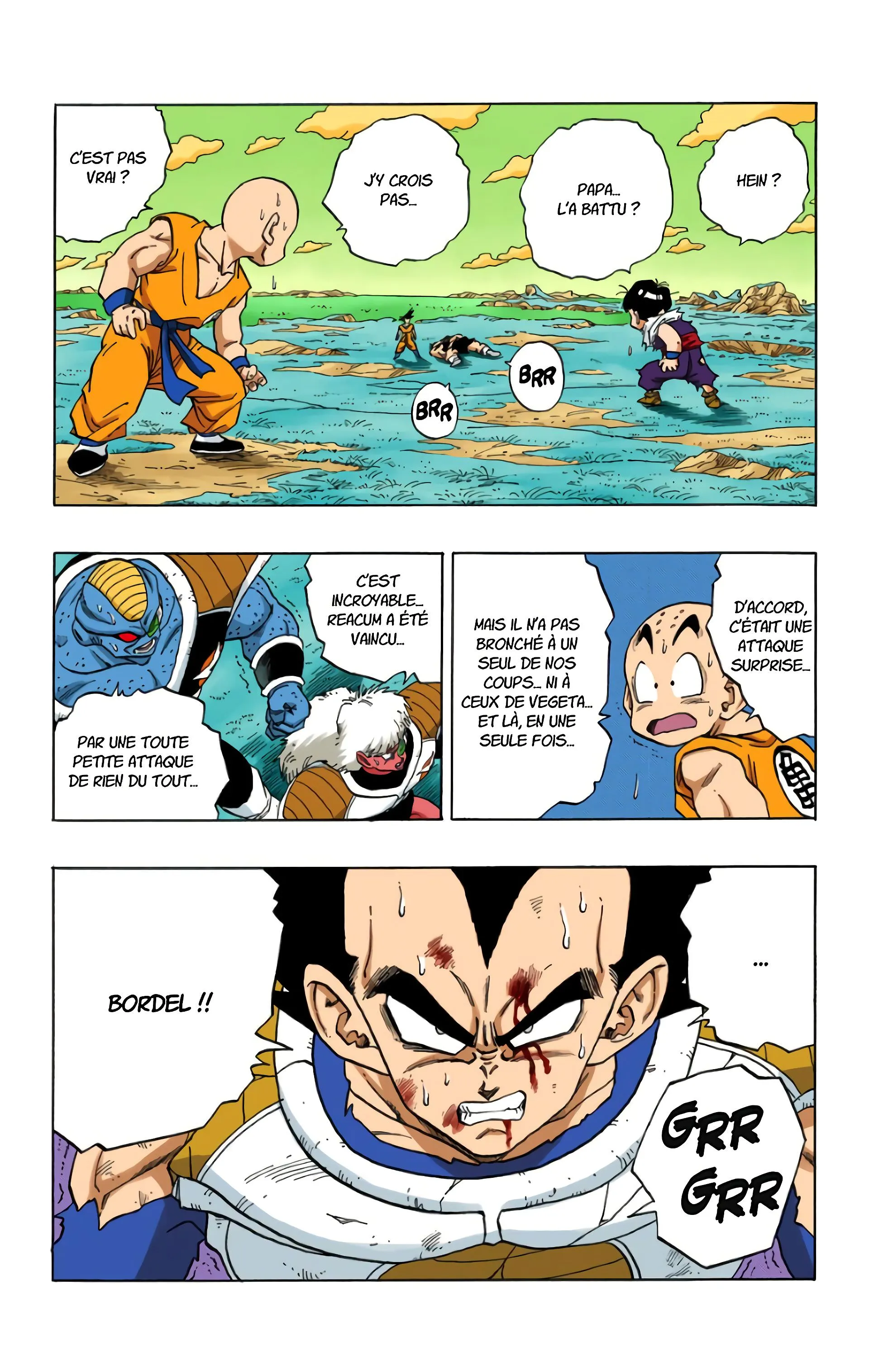 Read Dragon Ball FR Manga Online