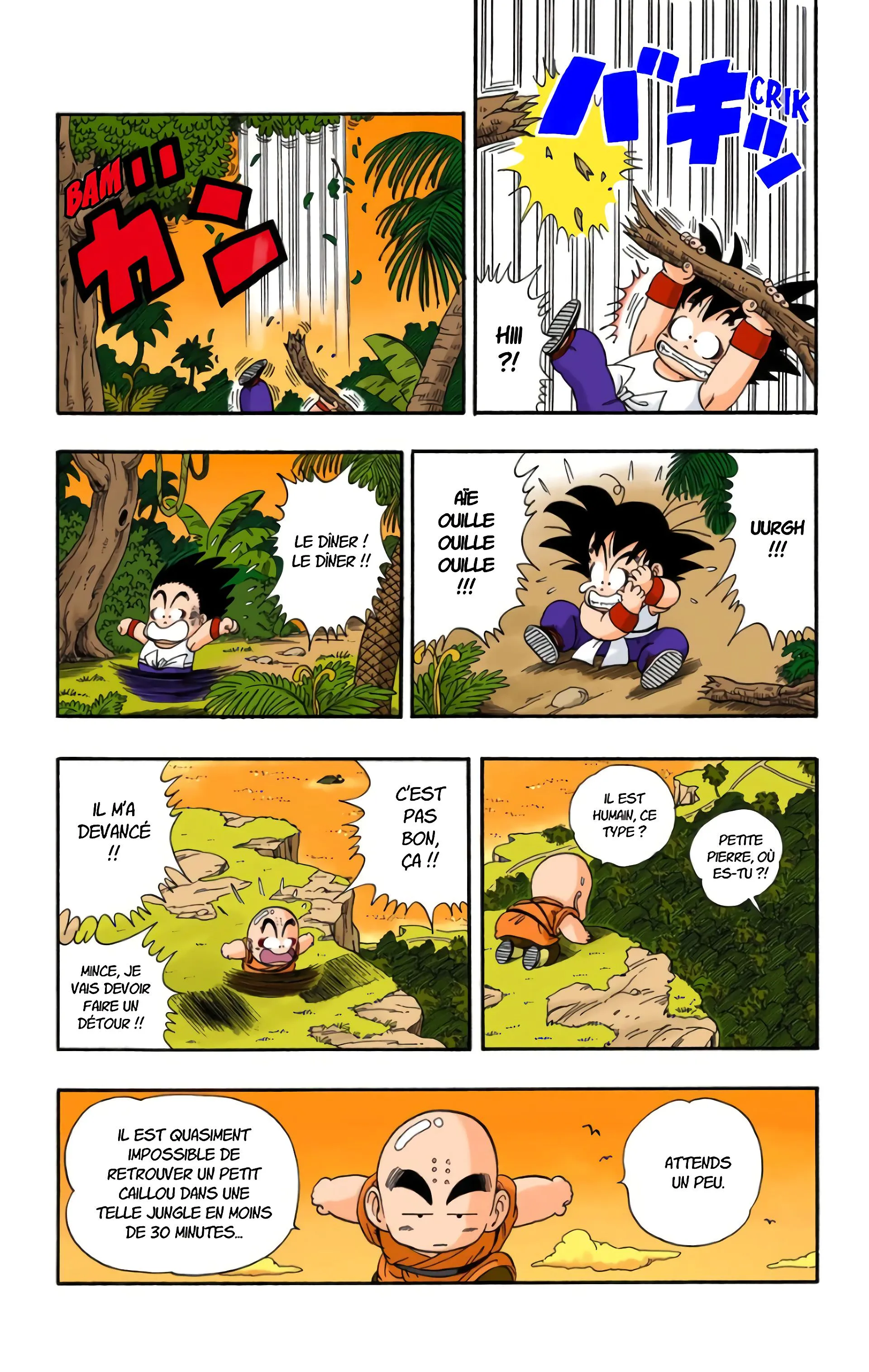 Read Dragon Ball FR Manga Online