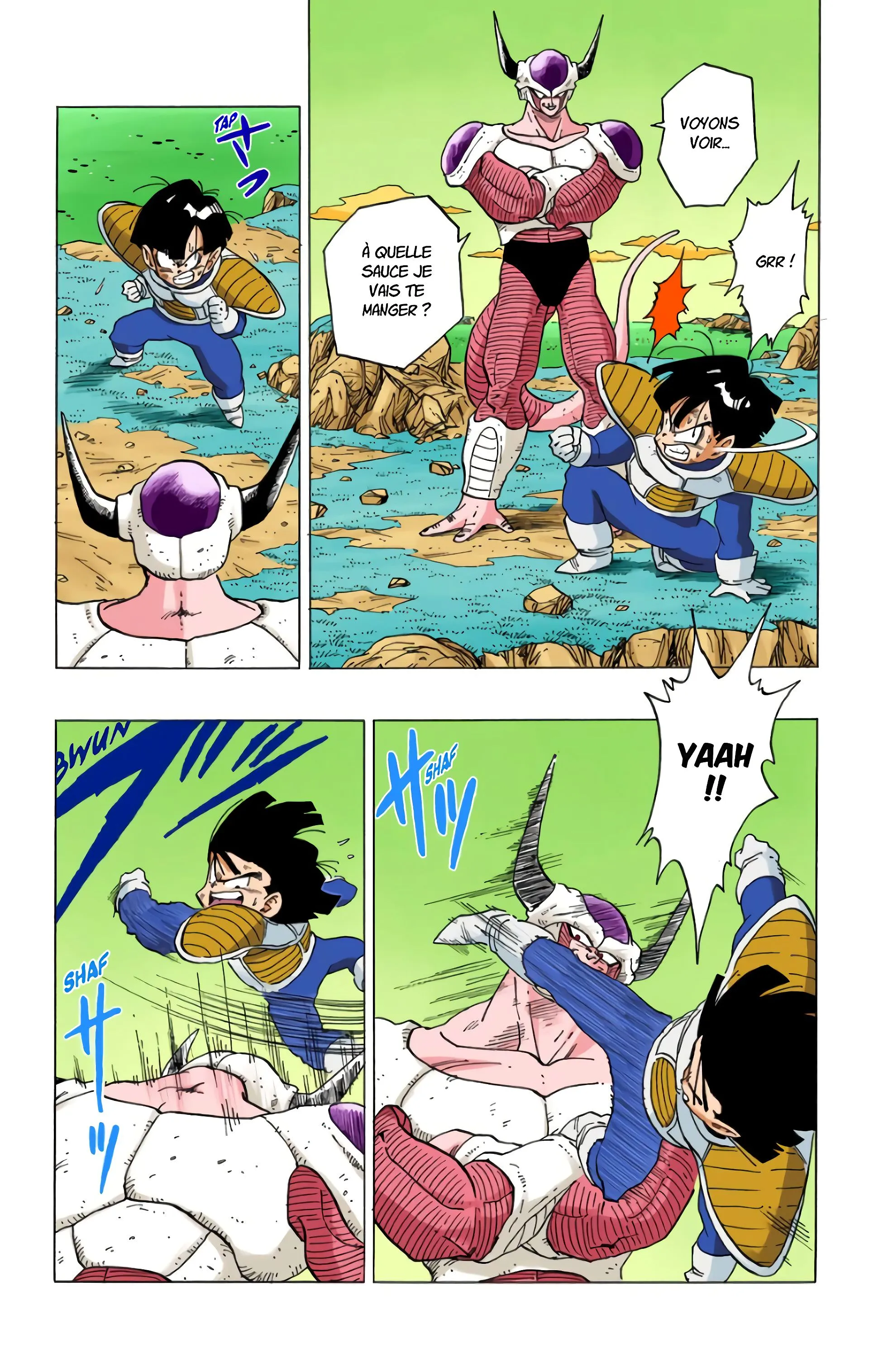 Read Dragon Ball FR Manga Online